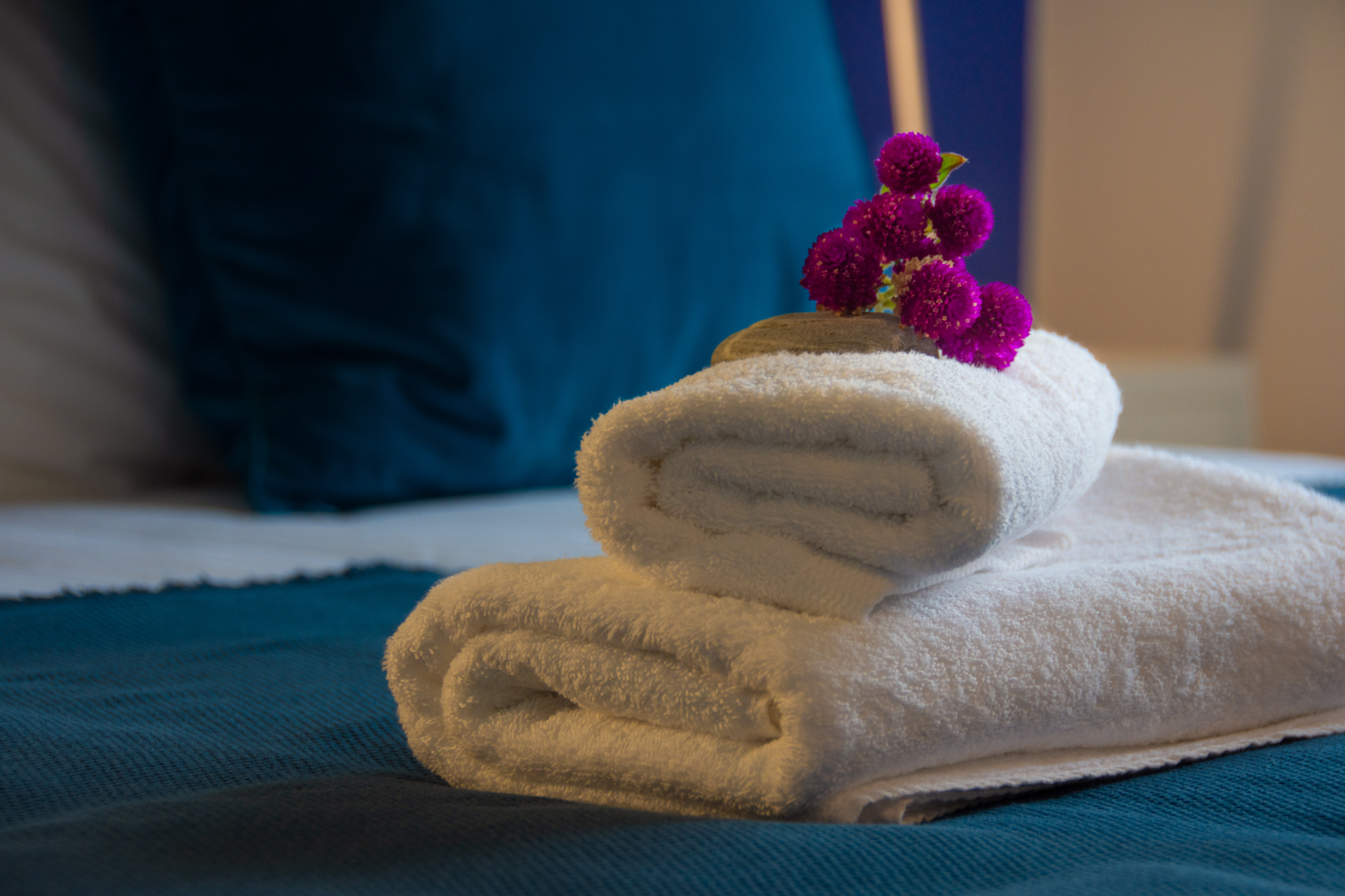 Family Room One Bedroom One Bathroom