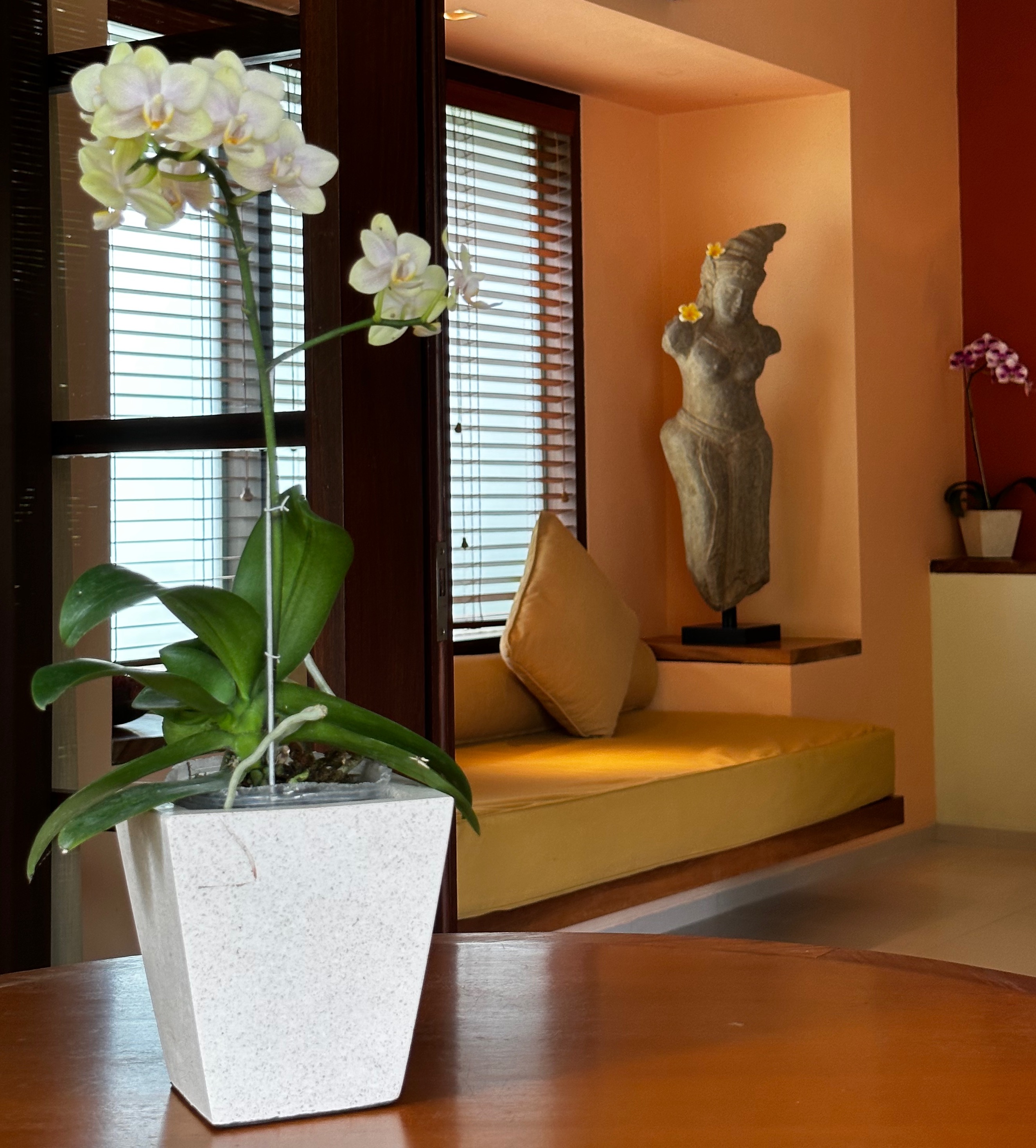 Double or Twin Deluxe Pool View