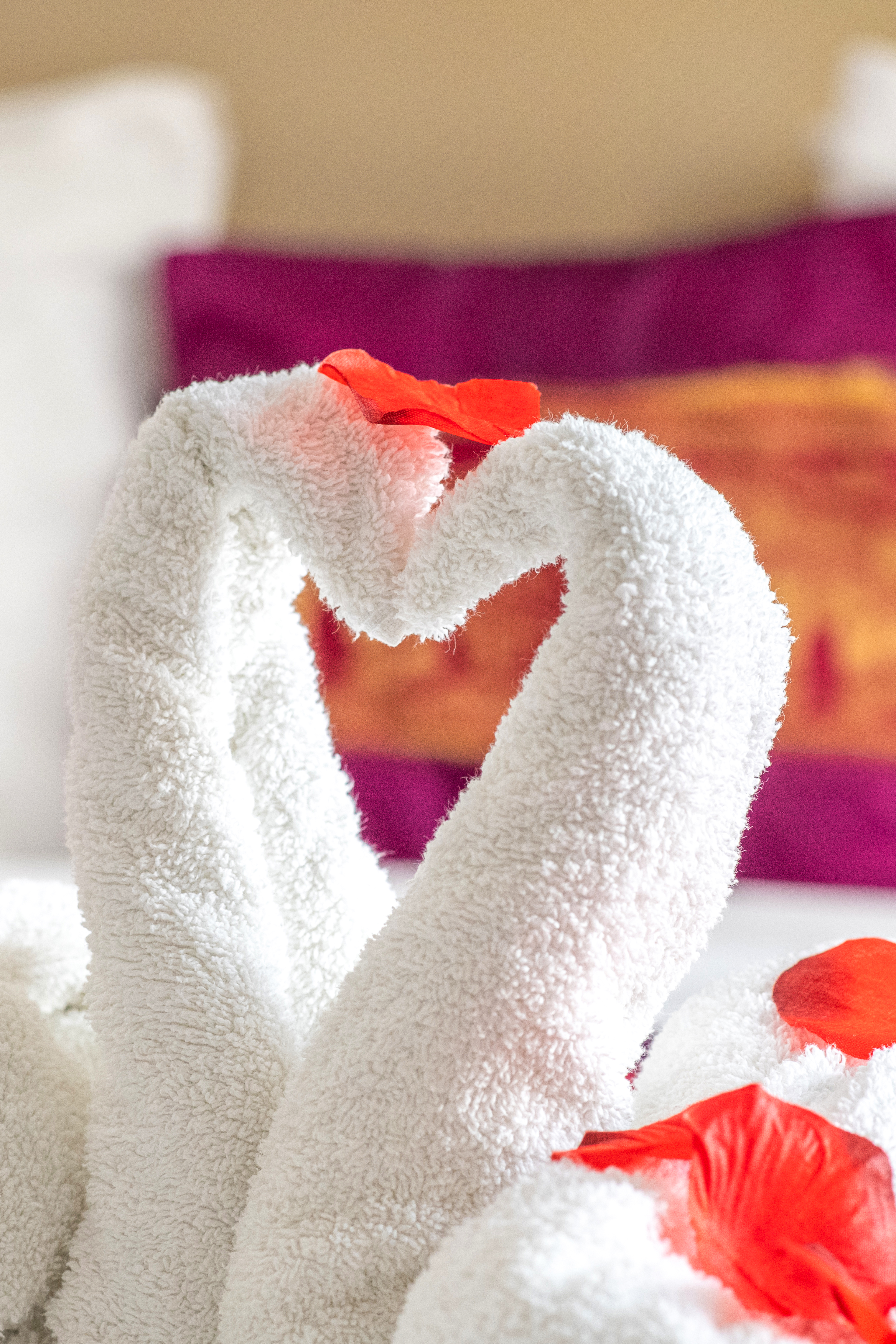 Junior Suite with Views