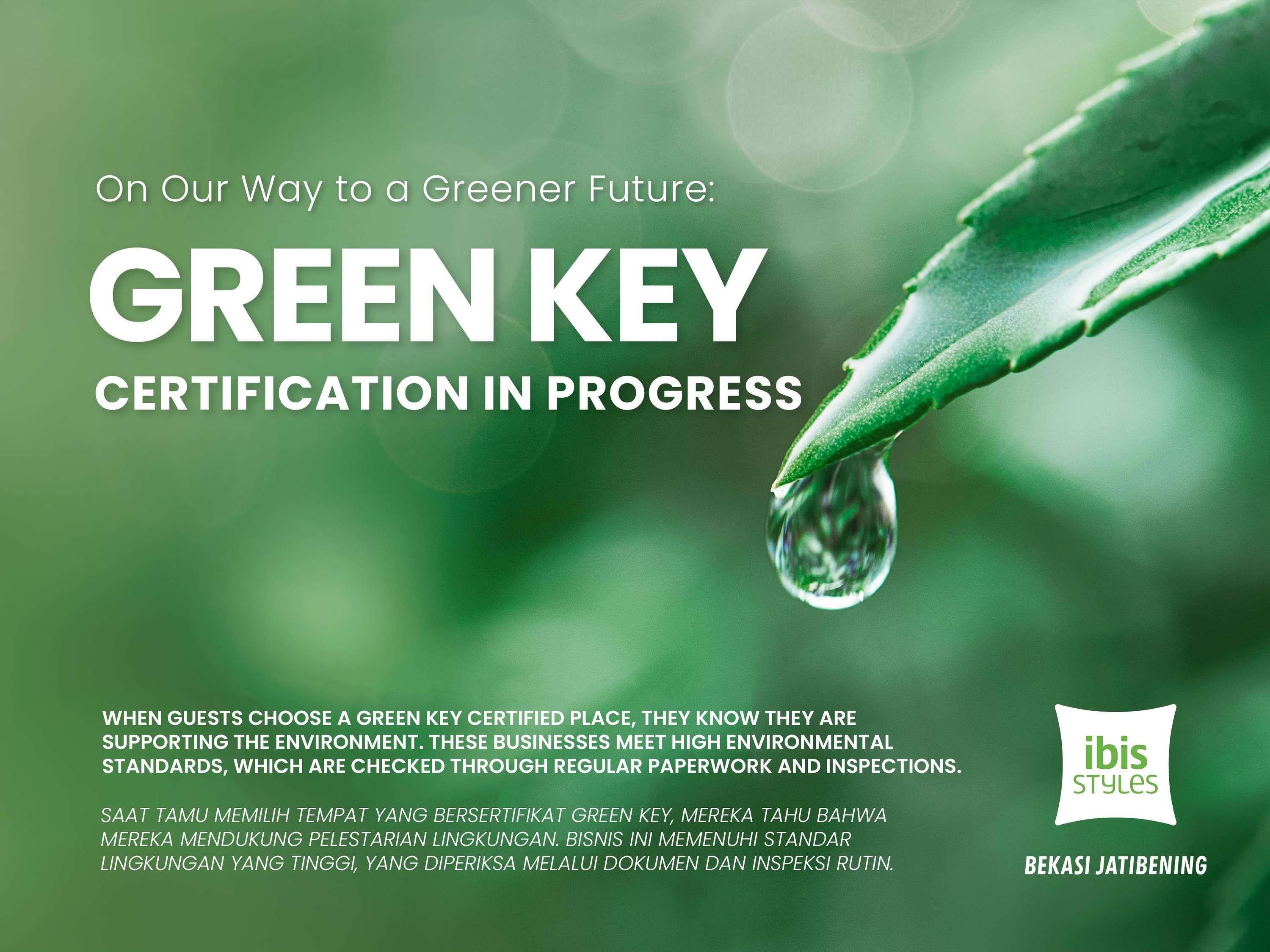 Family Room Queen Size Bed