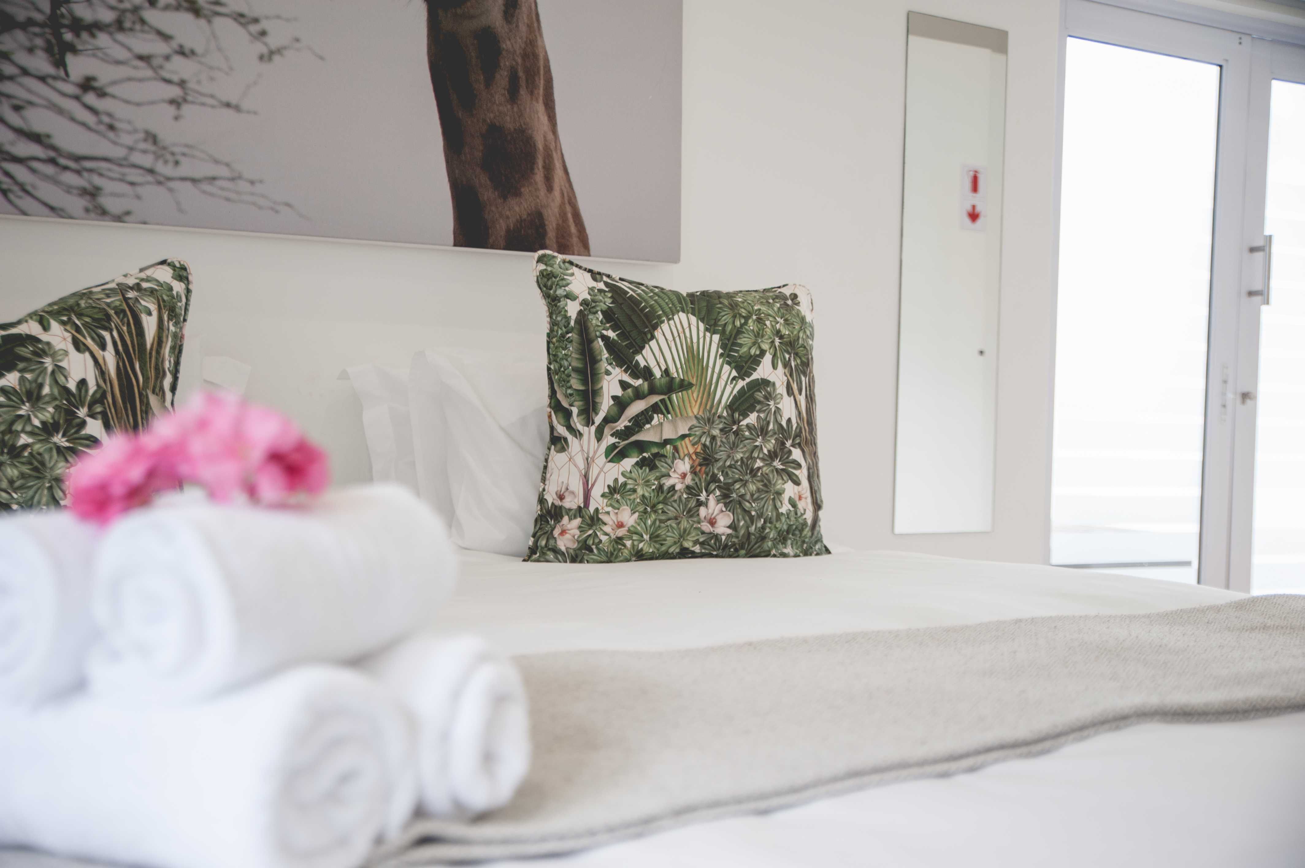 Family Room Superior