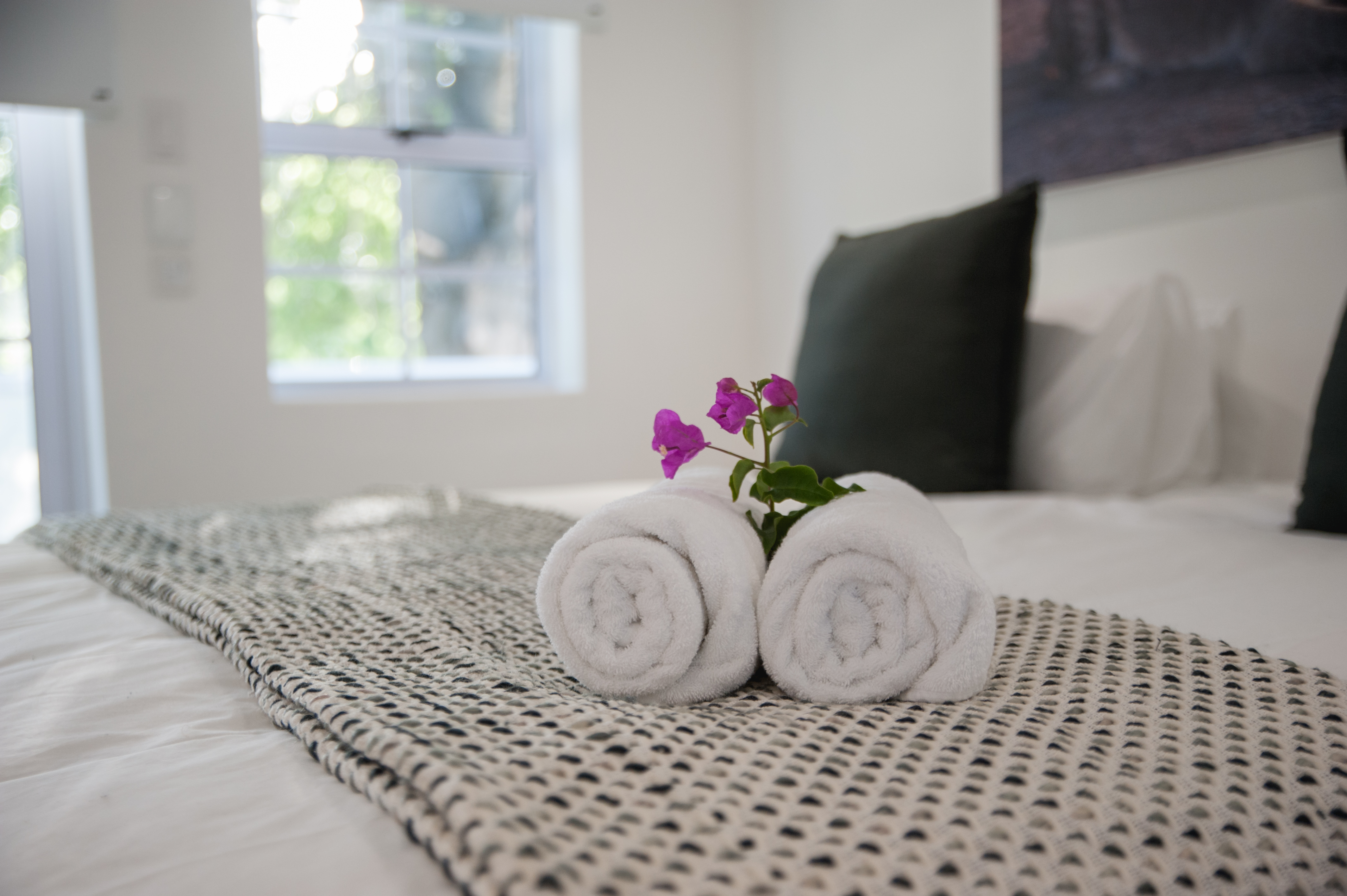 Family Room Two Bedrooms Two Bathrooms