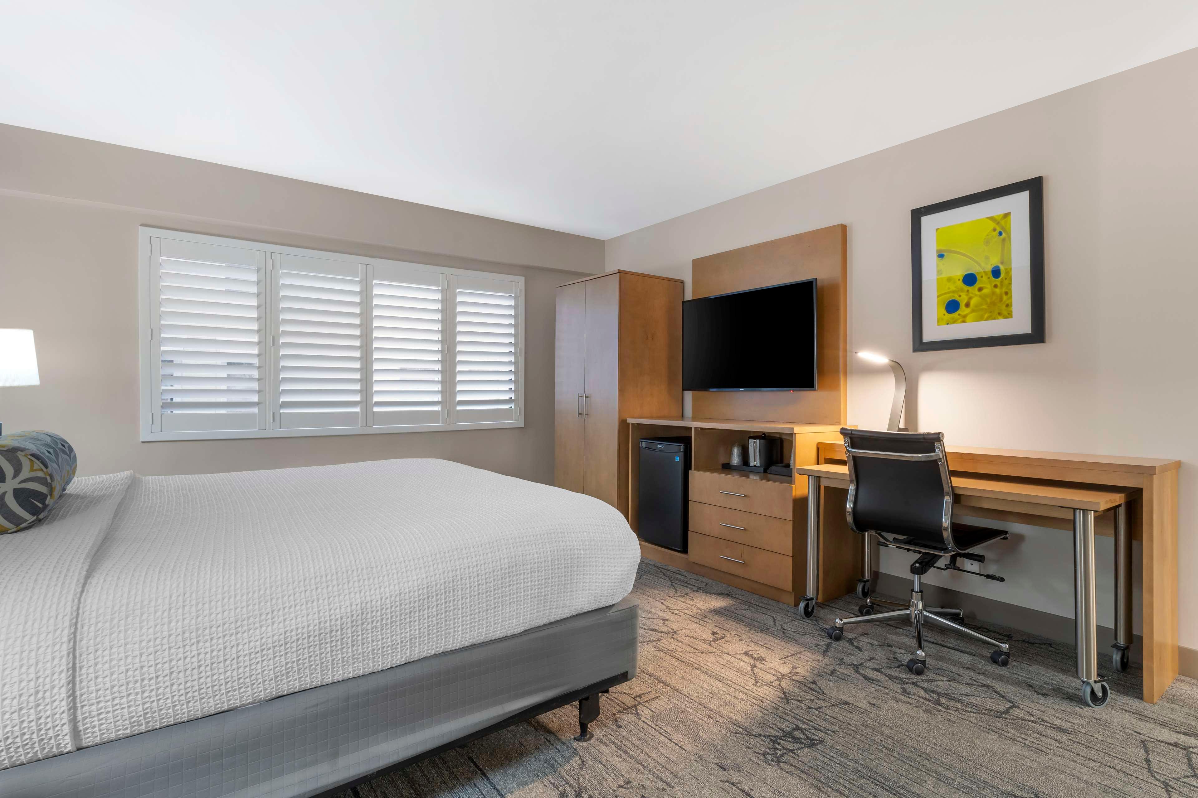 Room King Bed Non Smoking