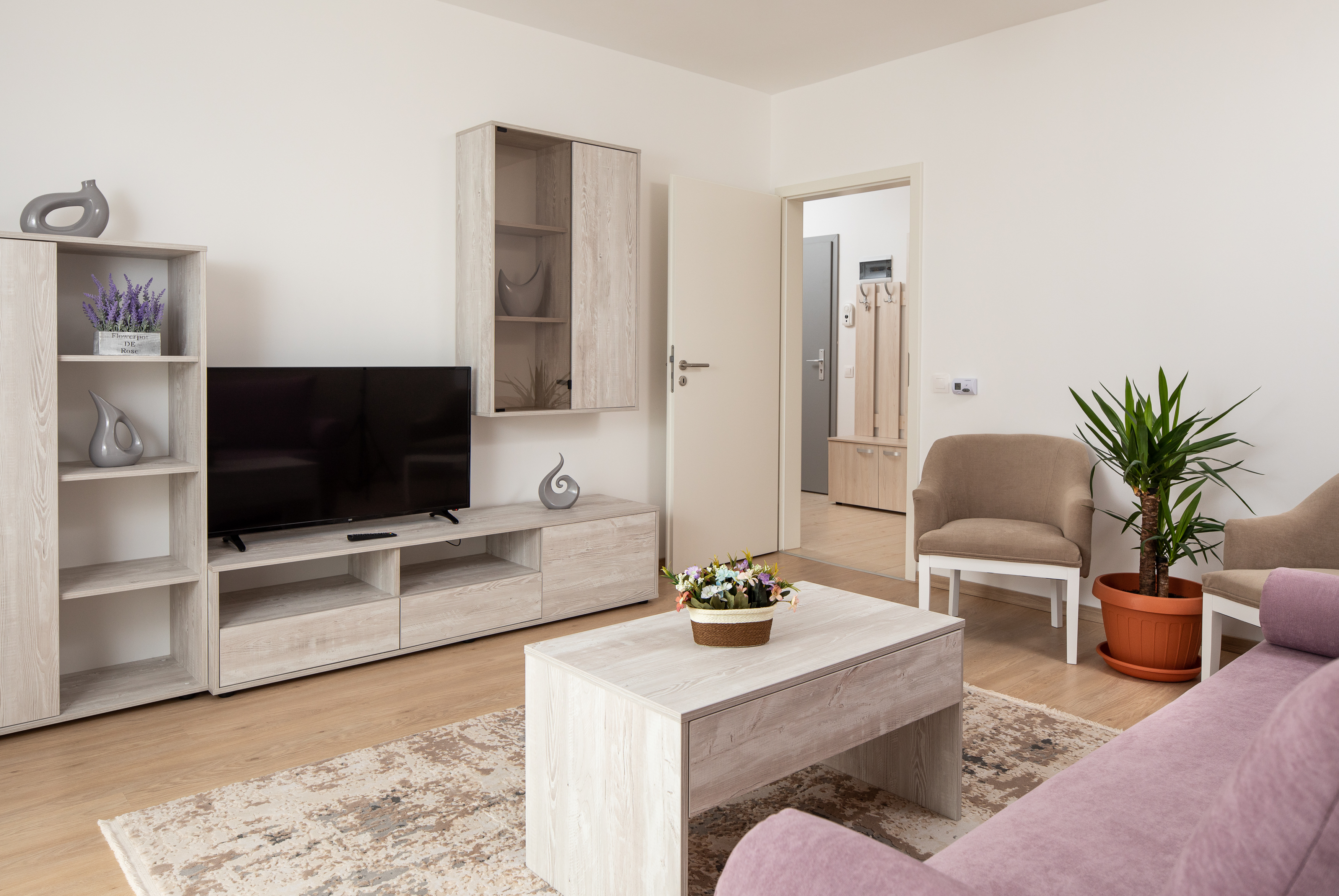 Apartment Classic with Balcony