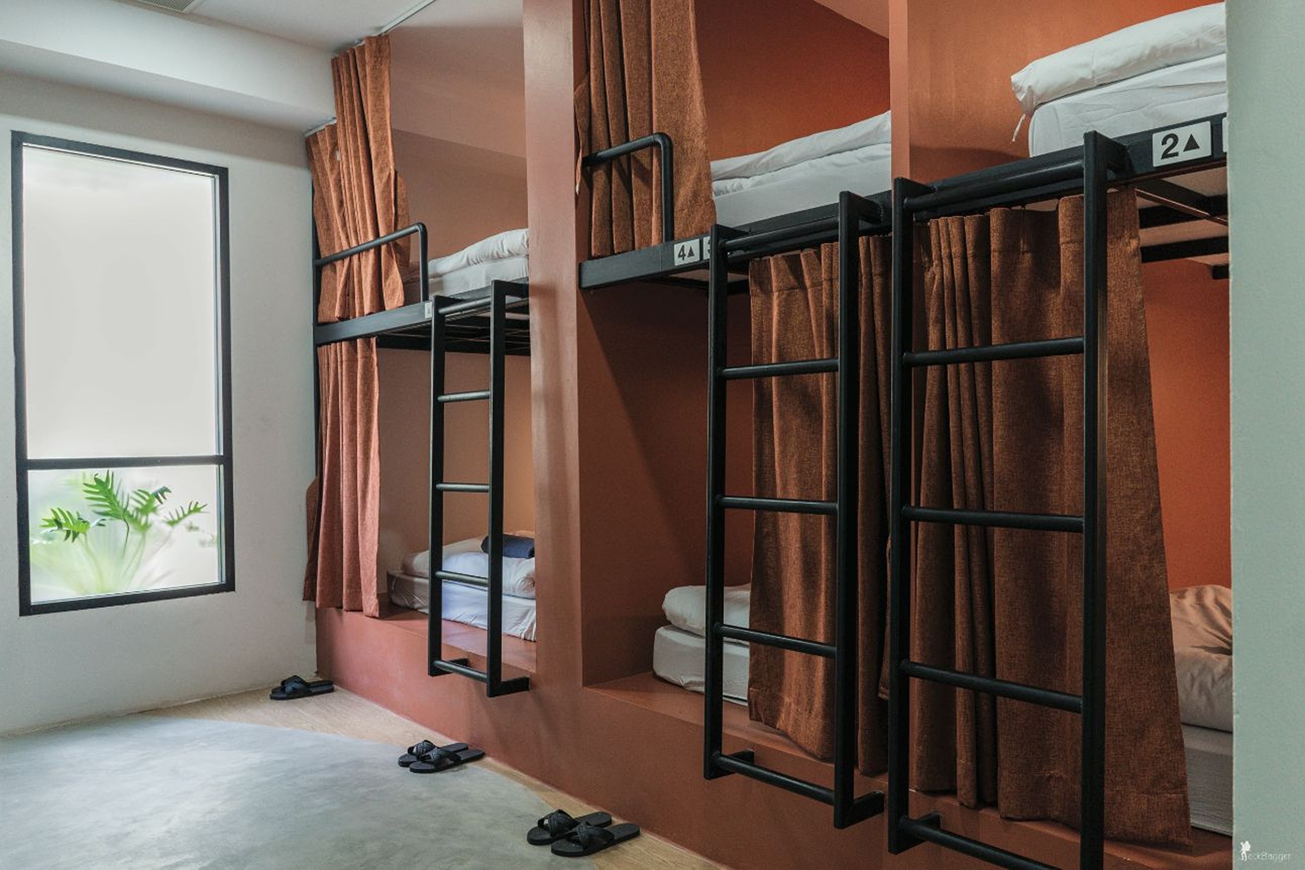 Bed in Dormitory Capacity 6