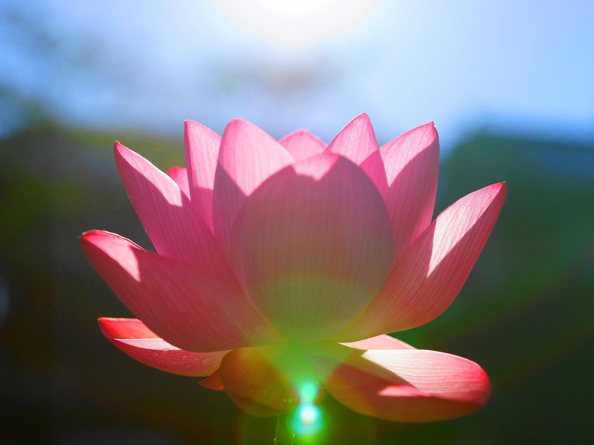 Twin Economy with Shared Bathroom