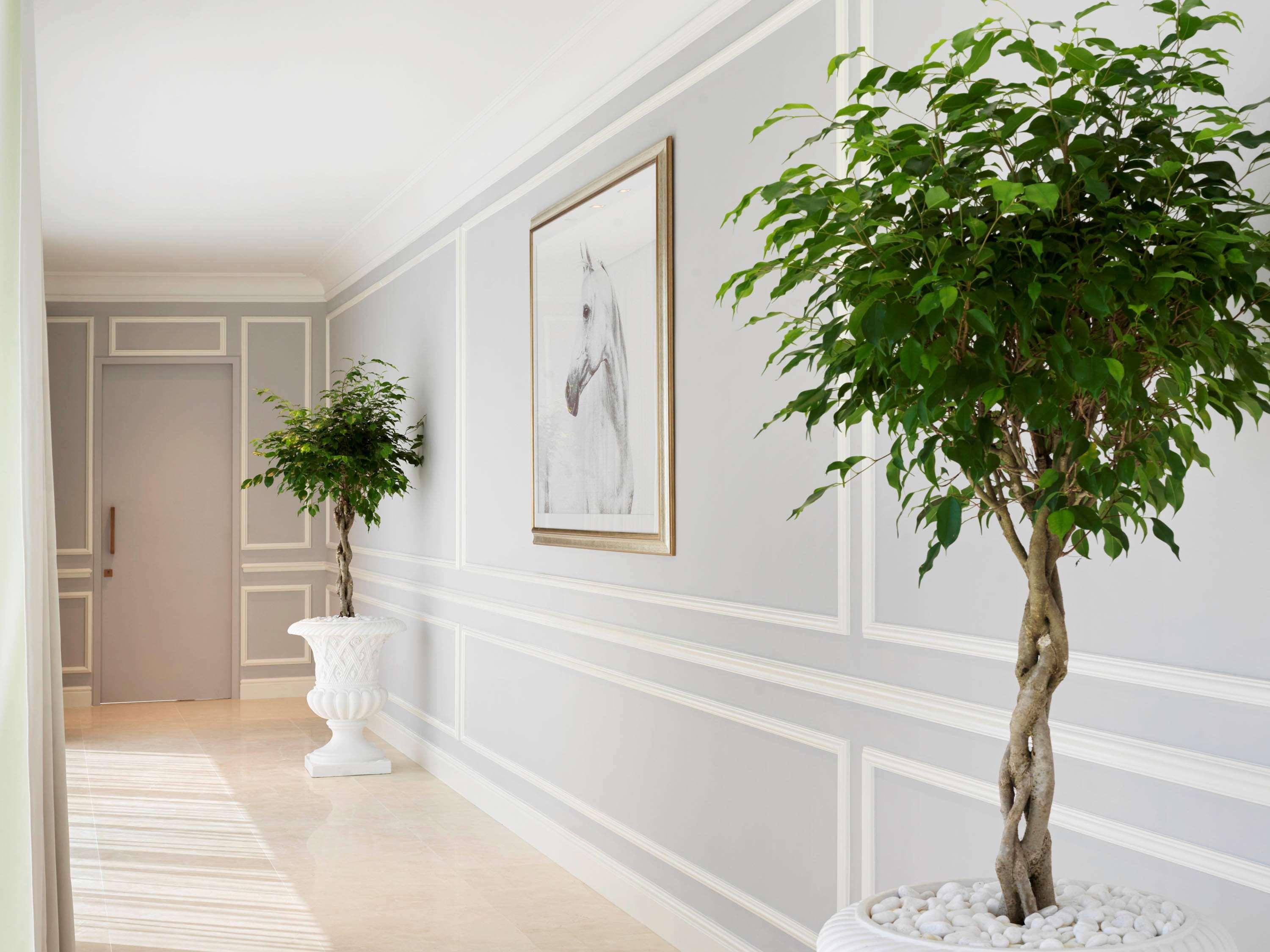 Suite Executive King Bed