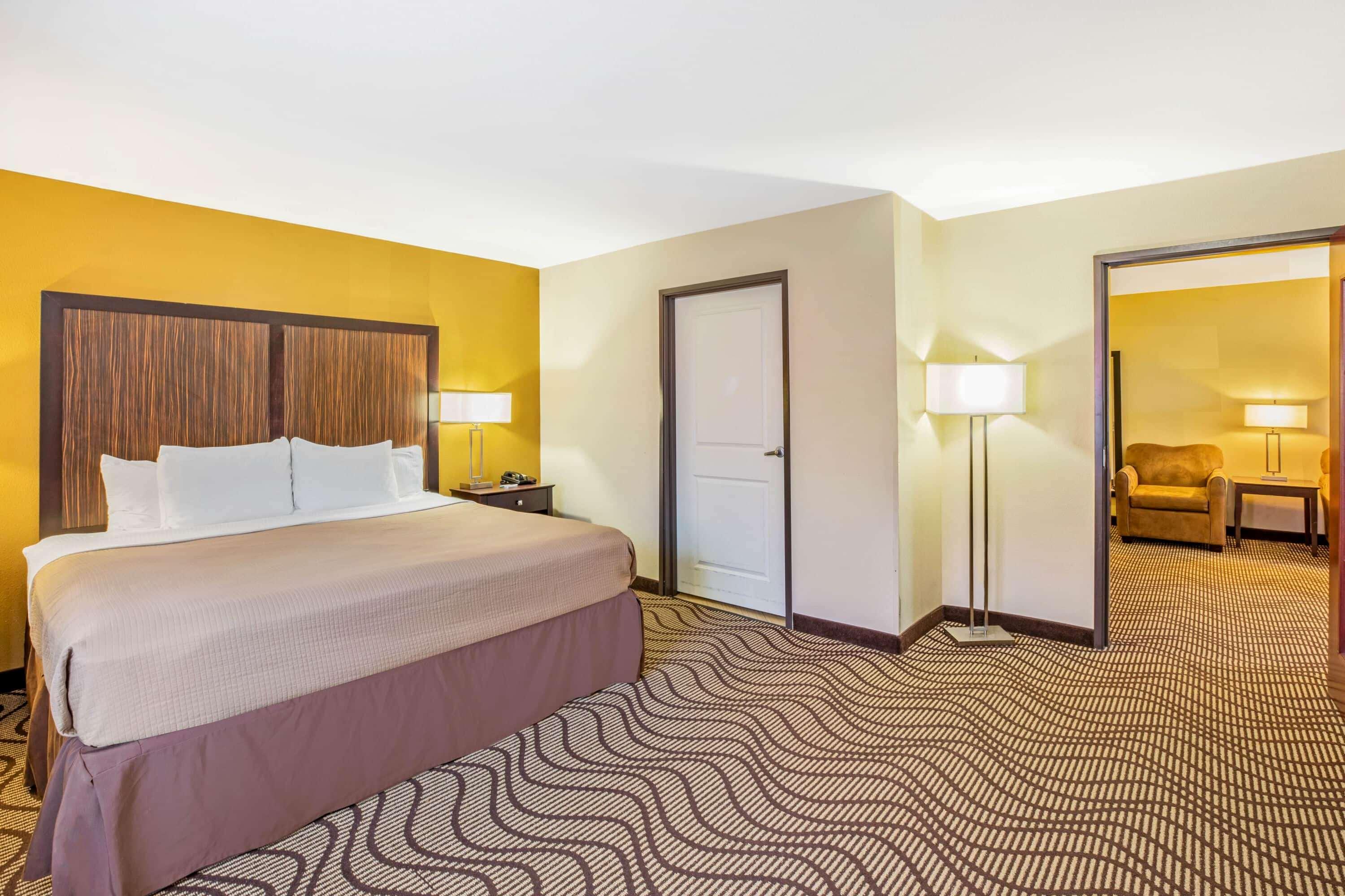 Suite King Bed Non Smoking