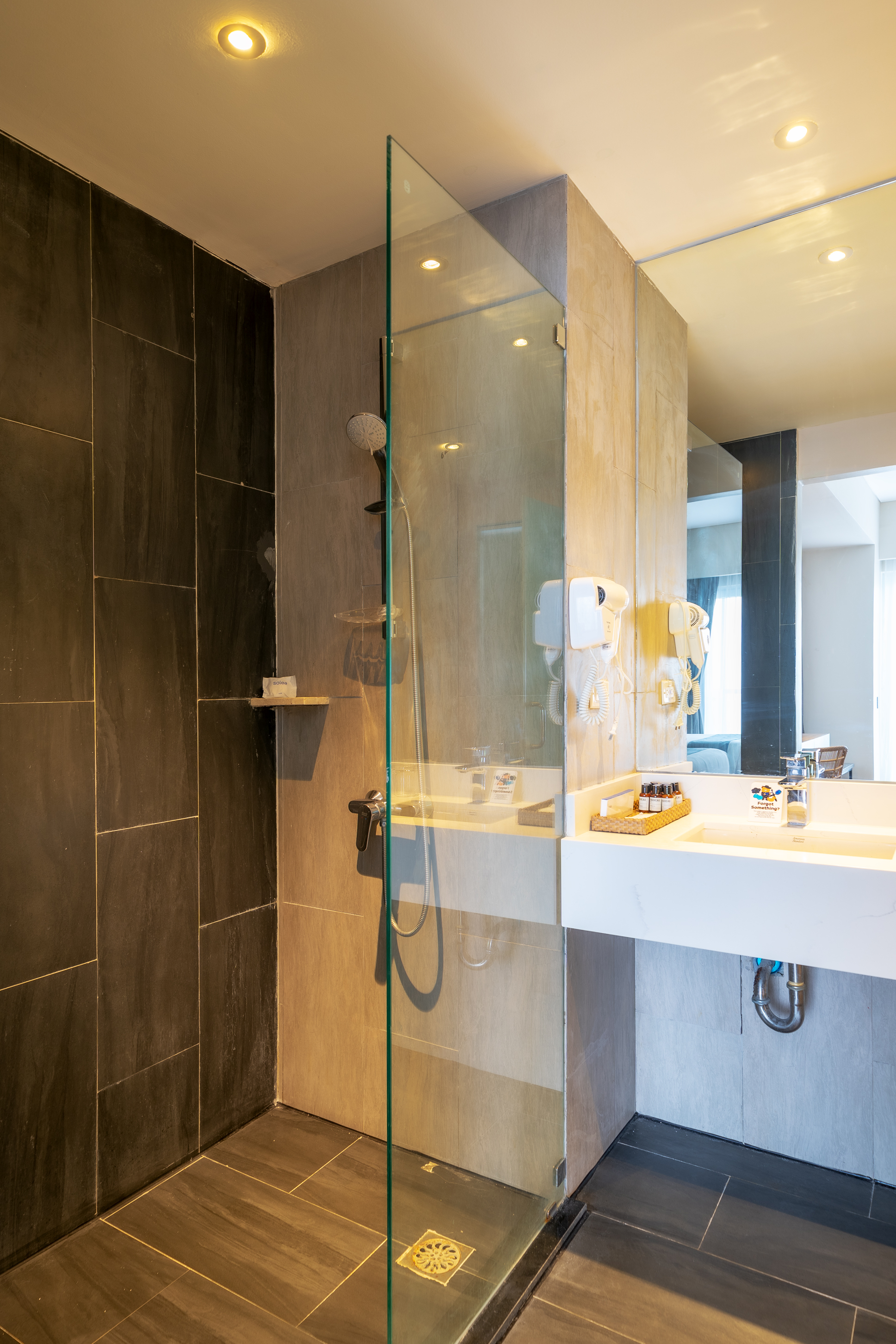 Double or Twin Premier