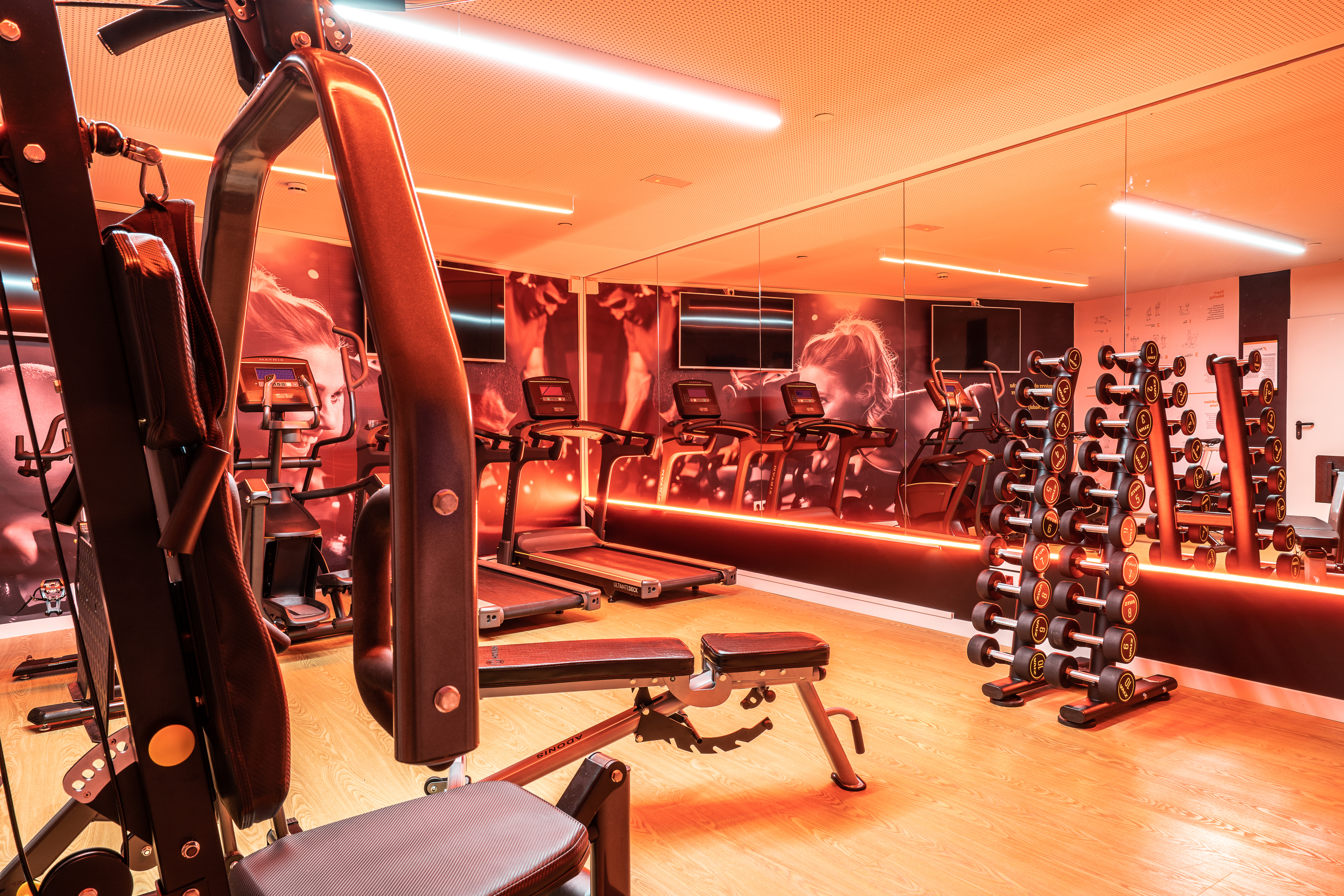 Sports and Entertainment