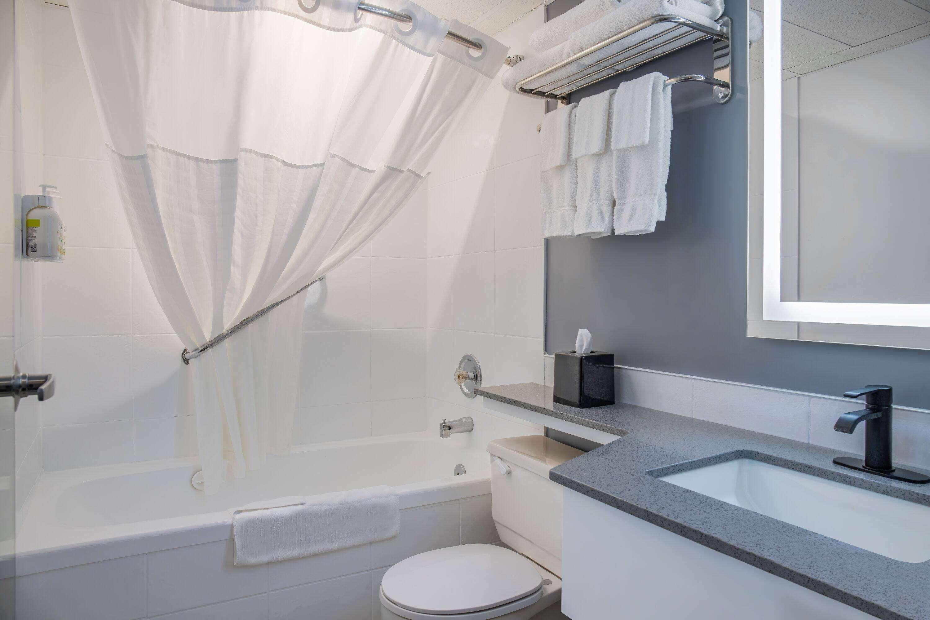 Room Premier King Bed