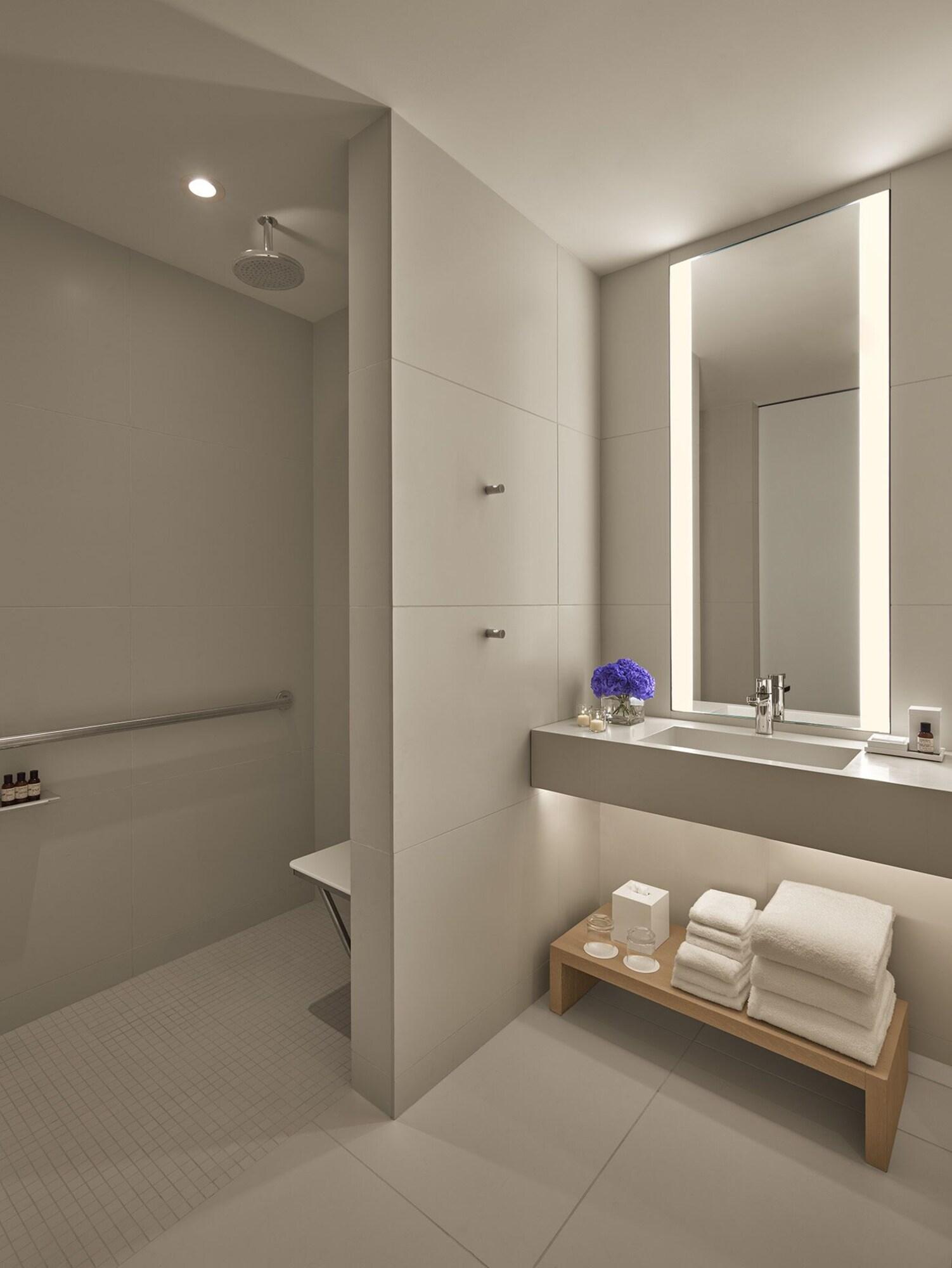 Double Accessible Premier Room