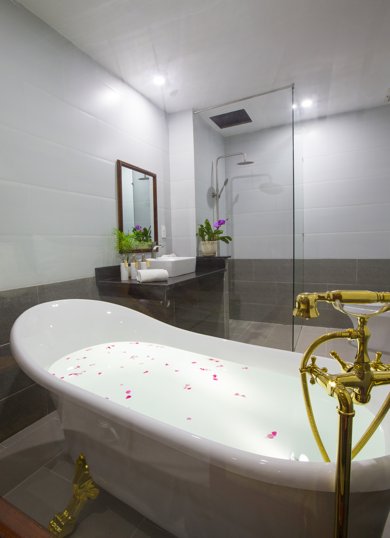 Family Room with Views