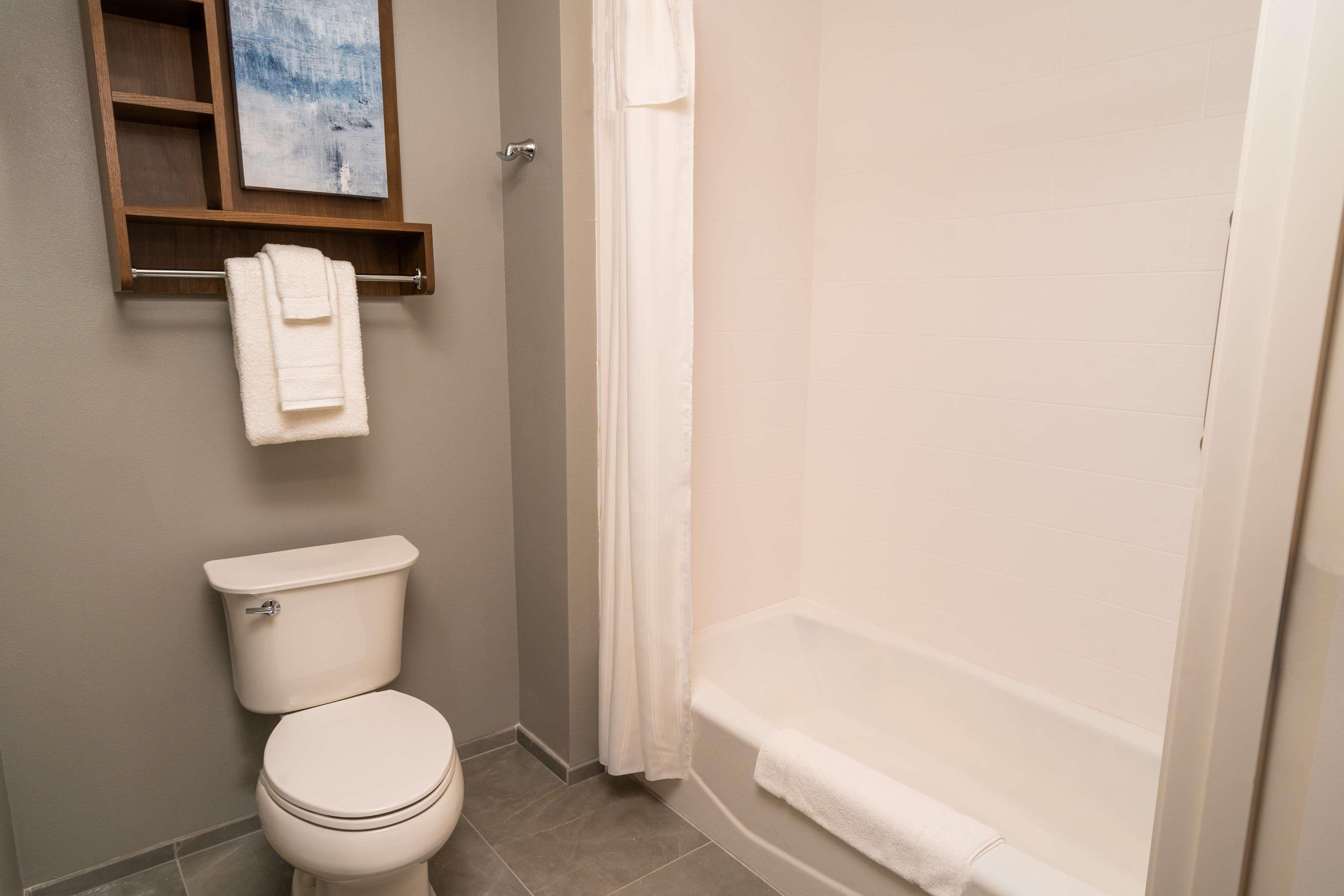 Studio King Size Bed