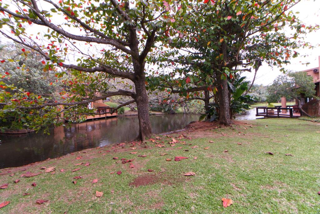 Twin with Kitchenette