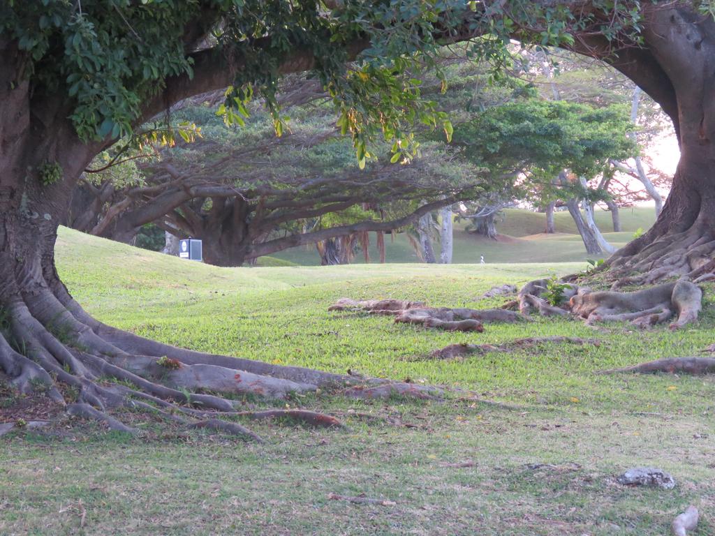 Apartment with Kitchenette