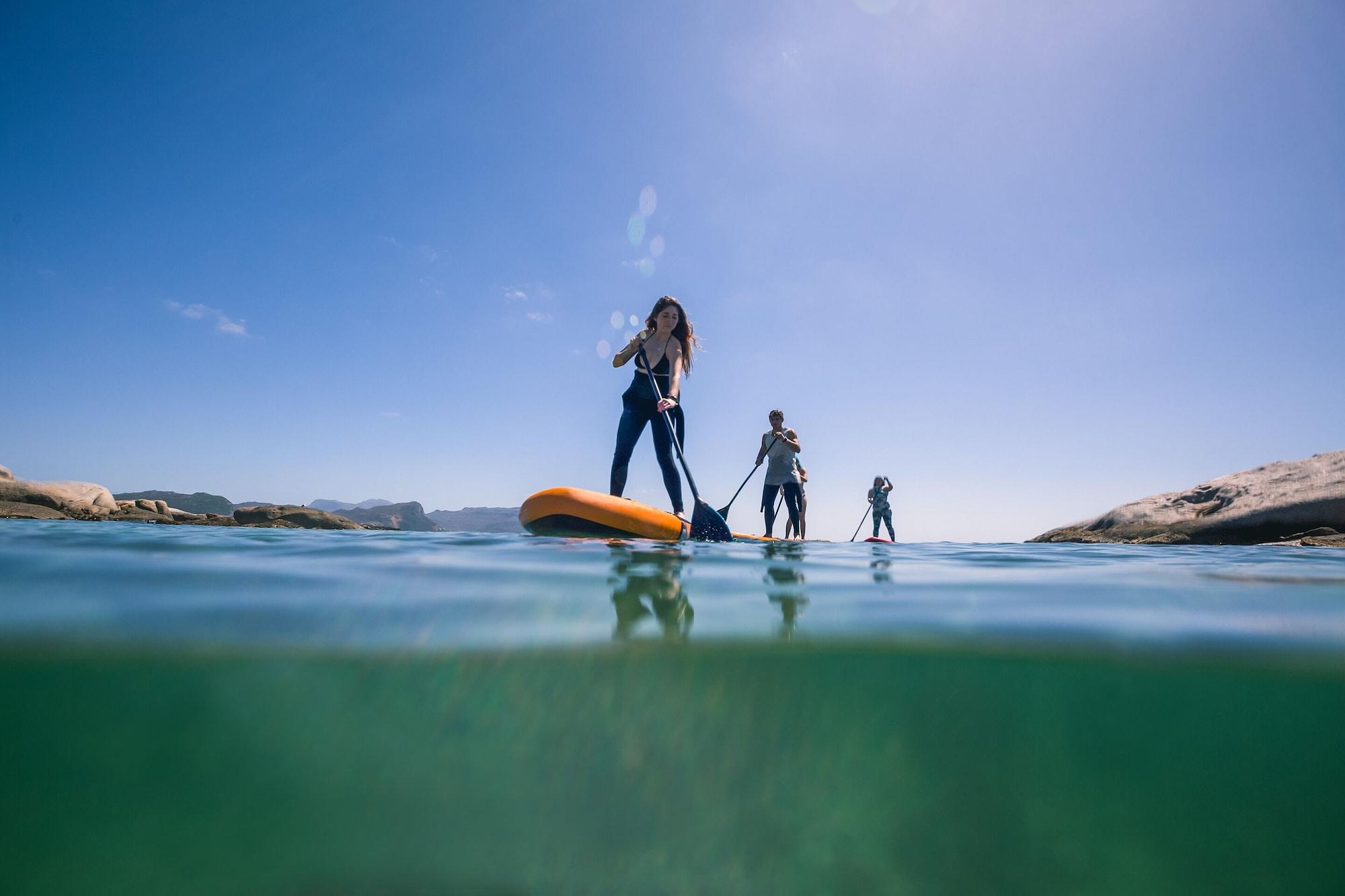 Sports and Entertainment