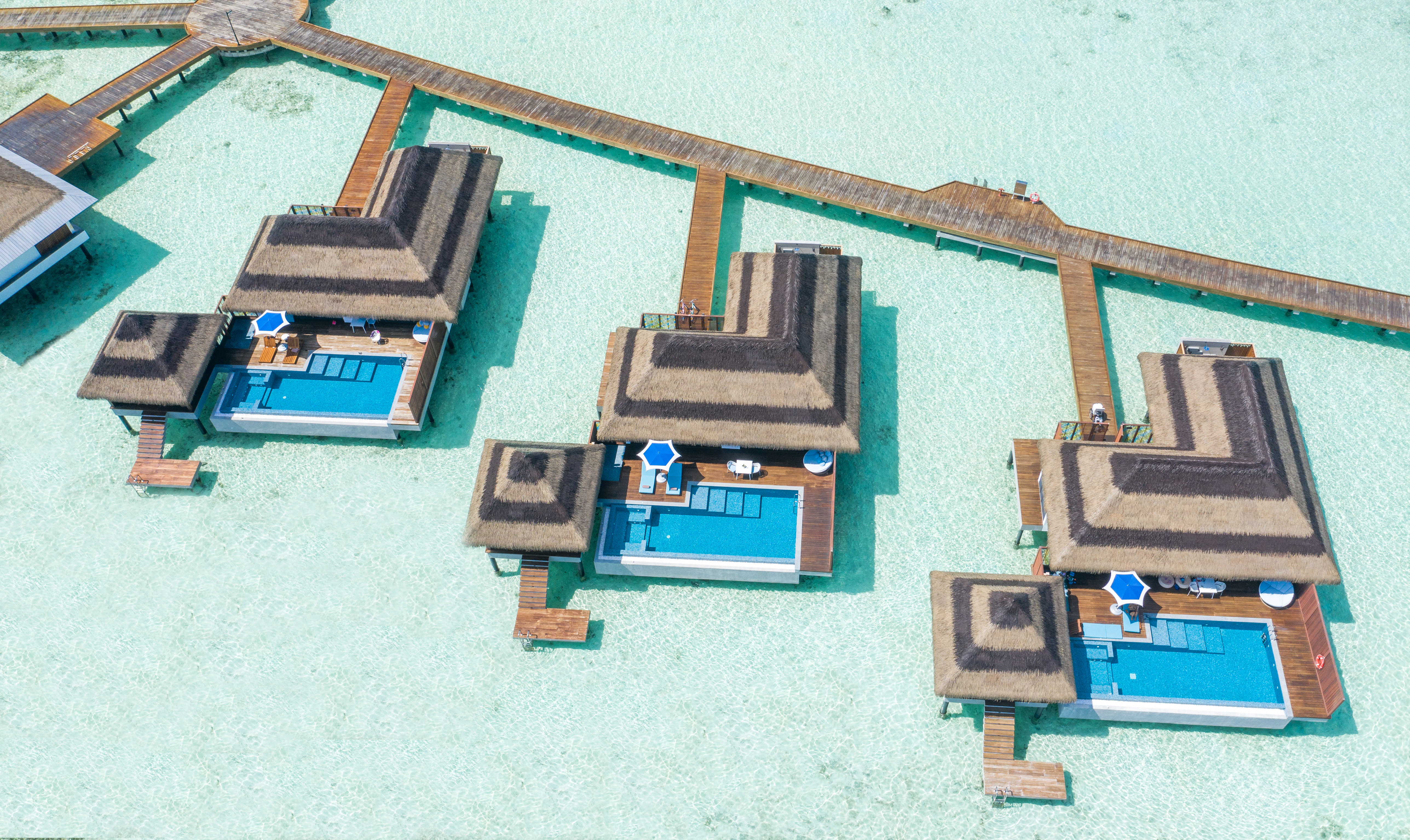 Suite Ocean View King Bed