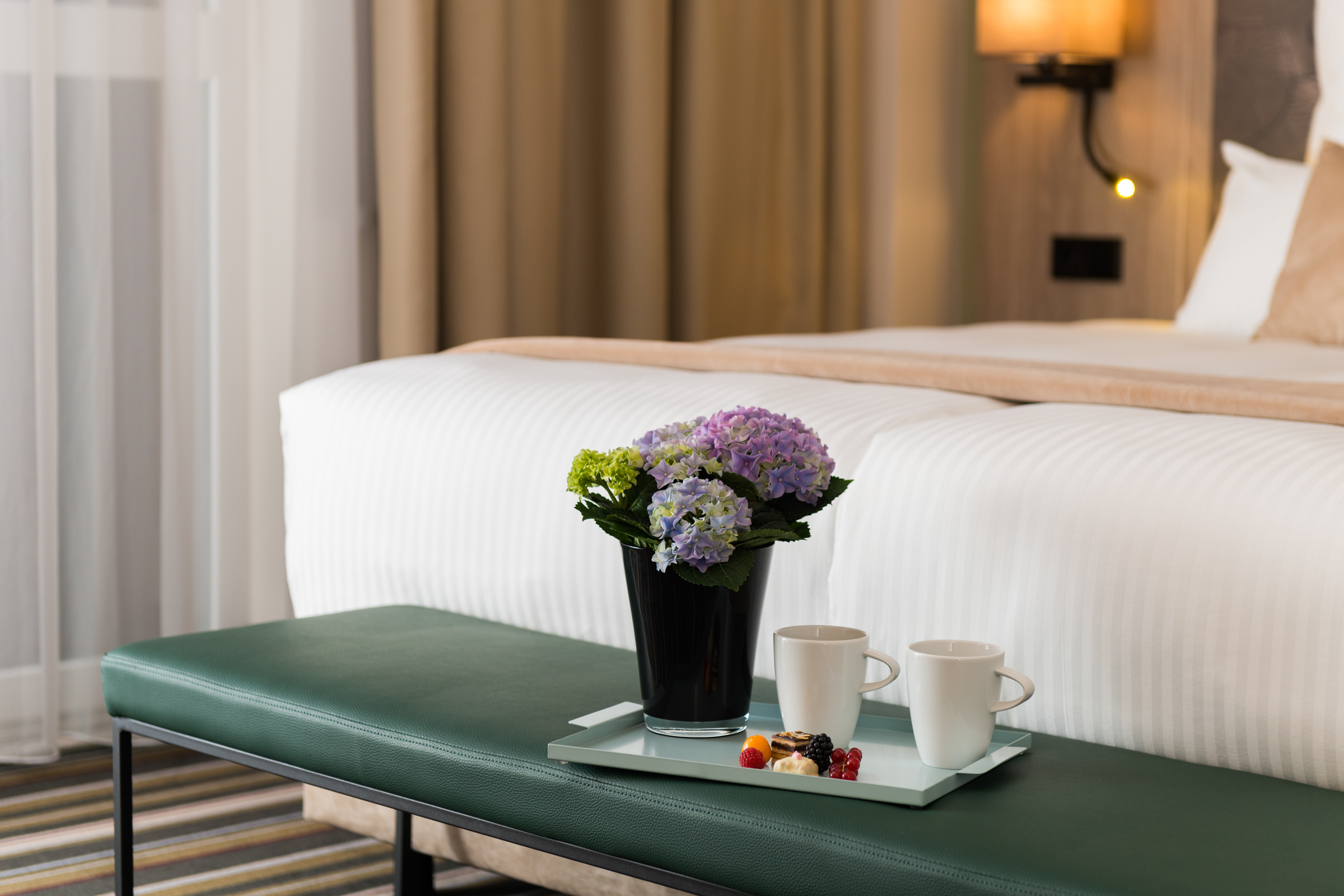 Double or Twin Comfort