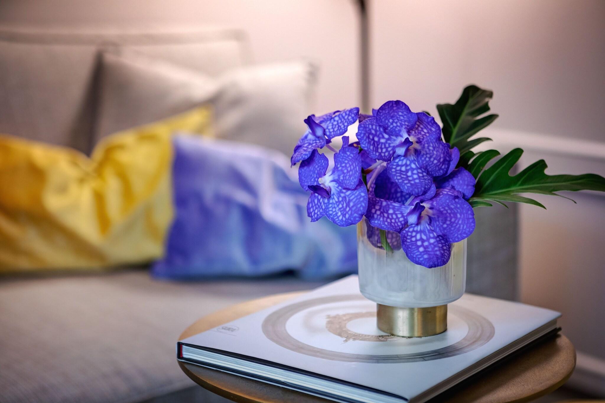 Family Room Superior