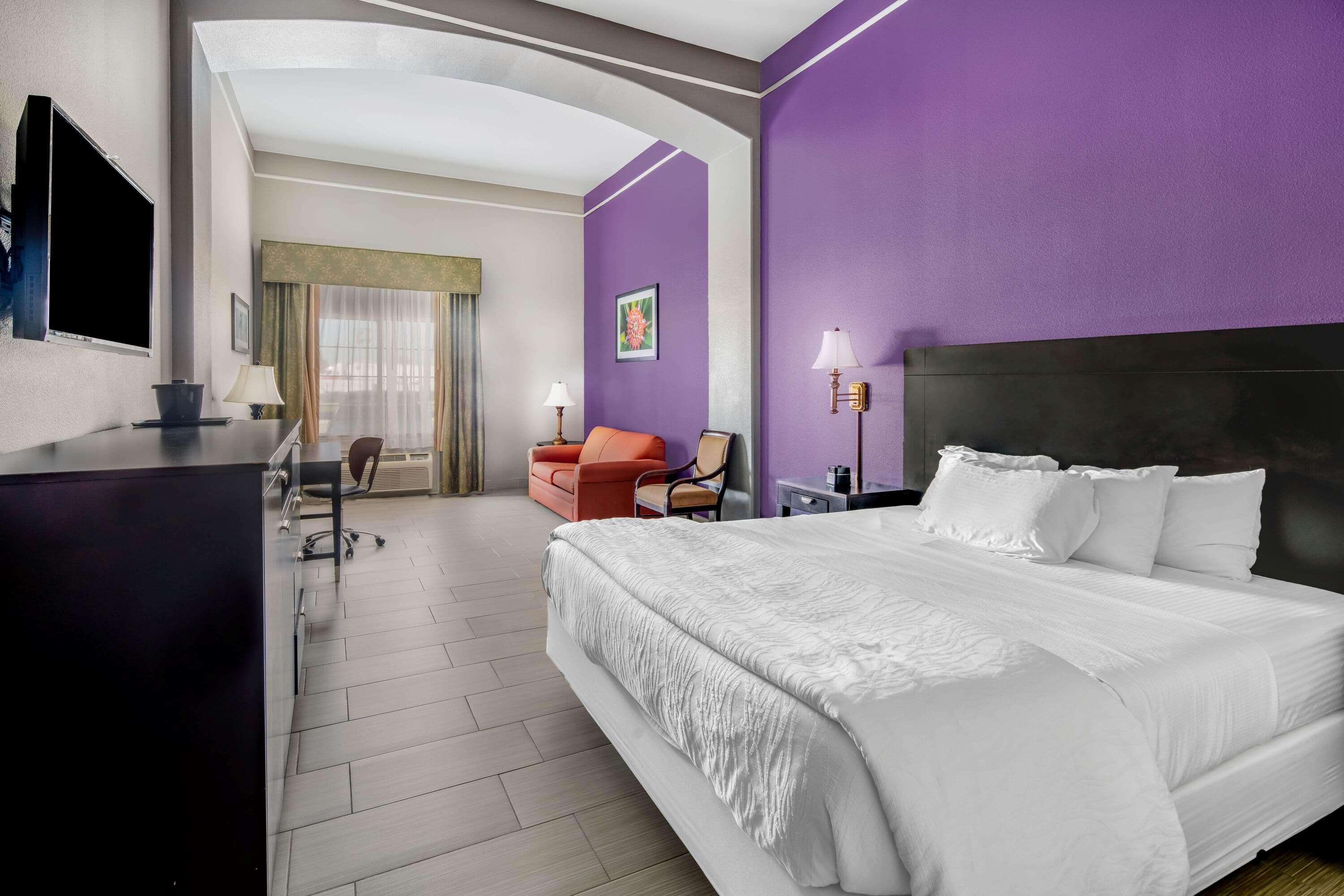 Suite King Bed Non Smoking