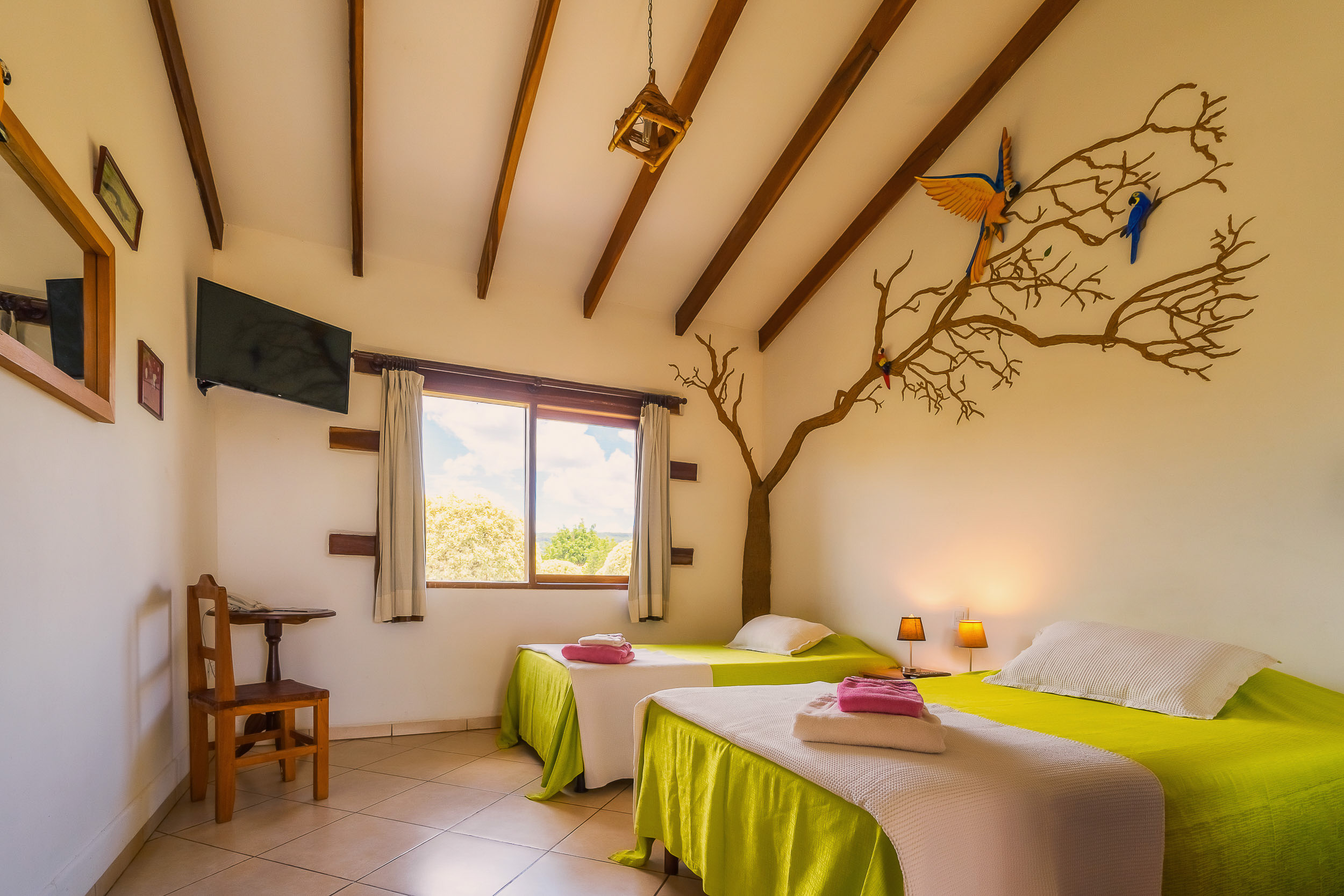 Double or Twin Standard