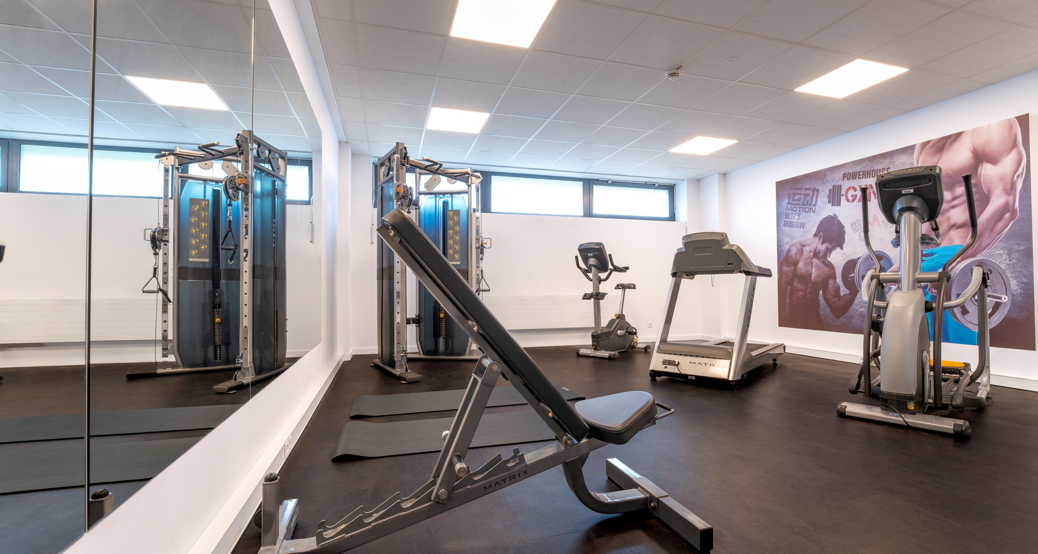 Sports and Entertainment