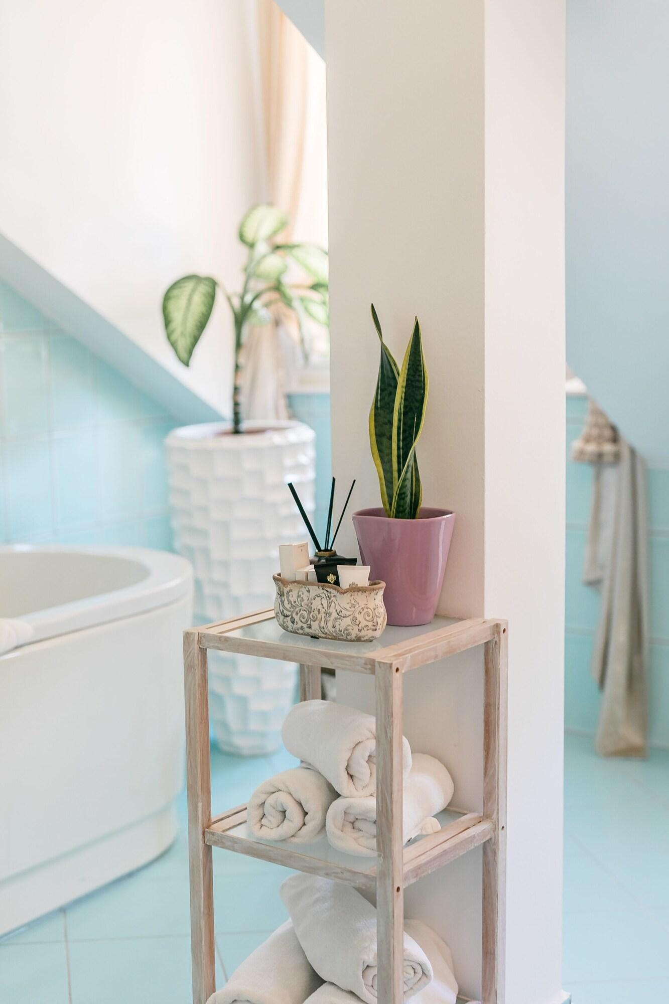 Double Superior with Views