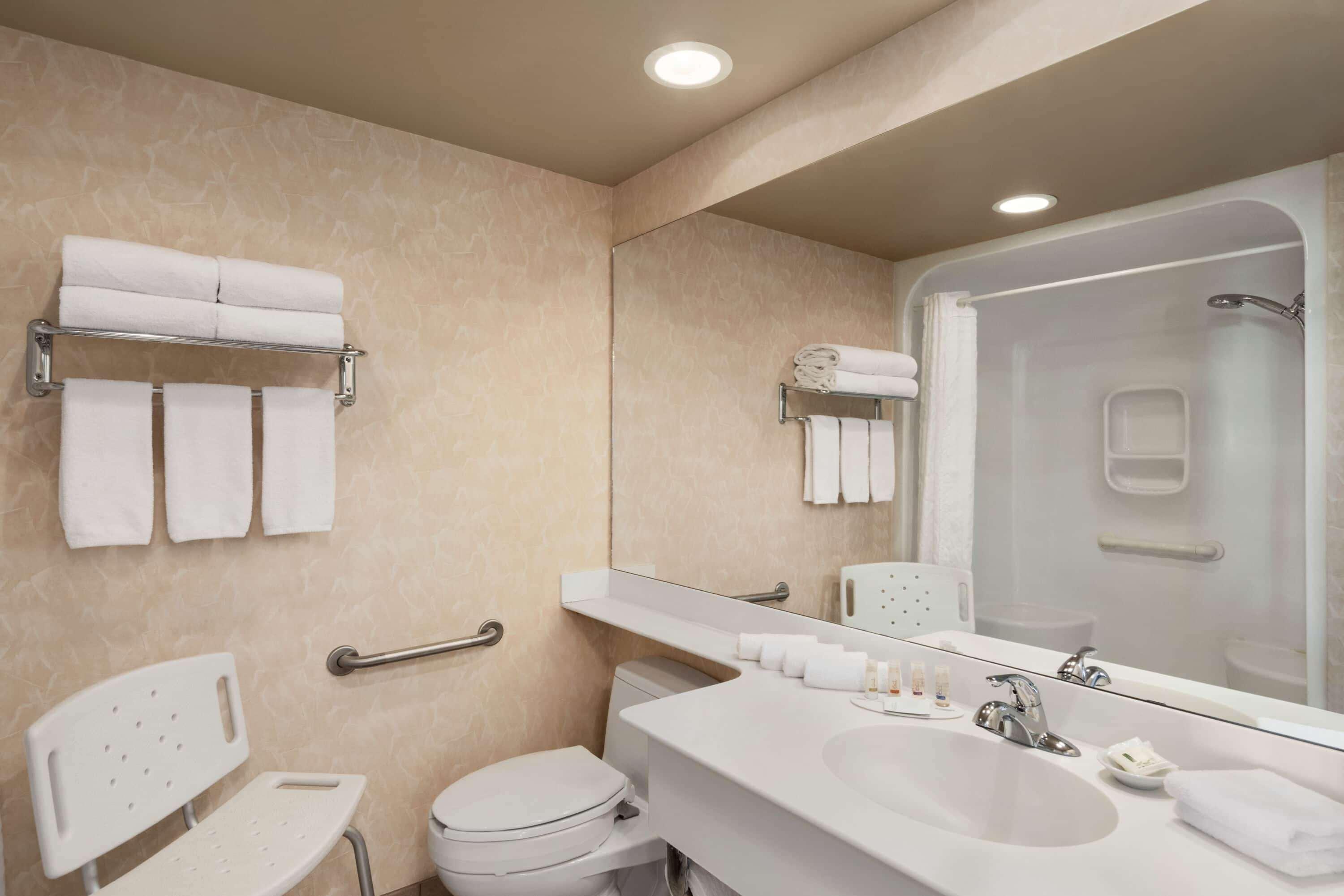 Suite King Bed Non Smoking