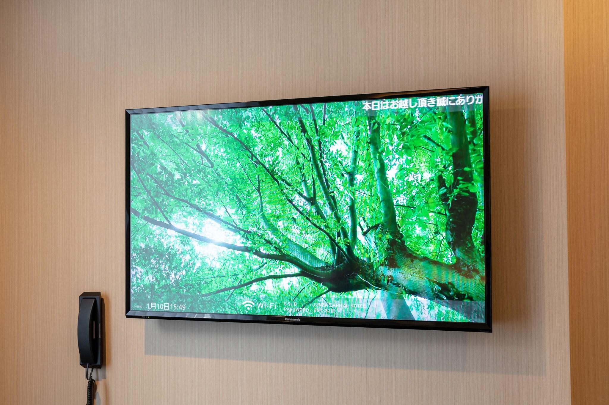 Twin Economy Non Smoking