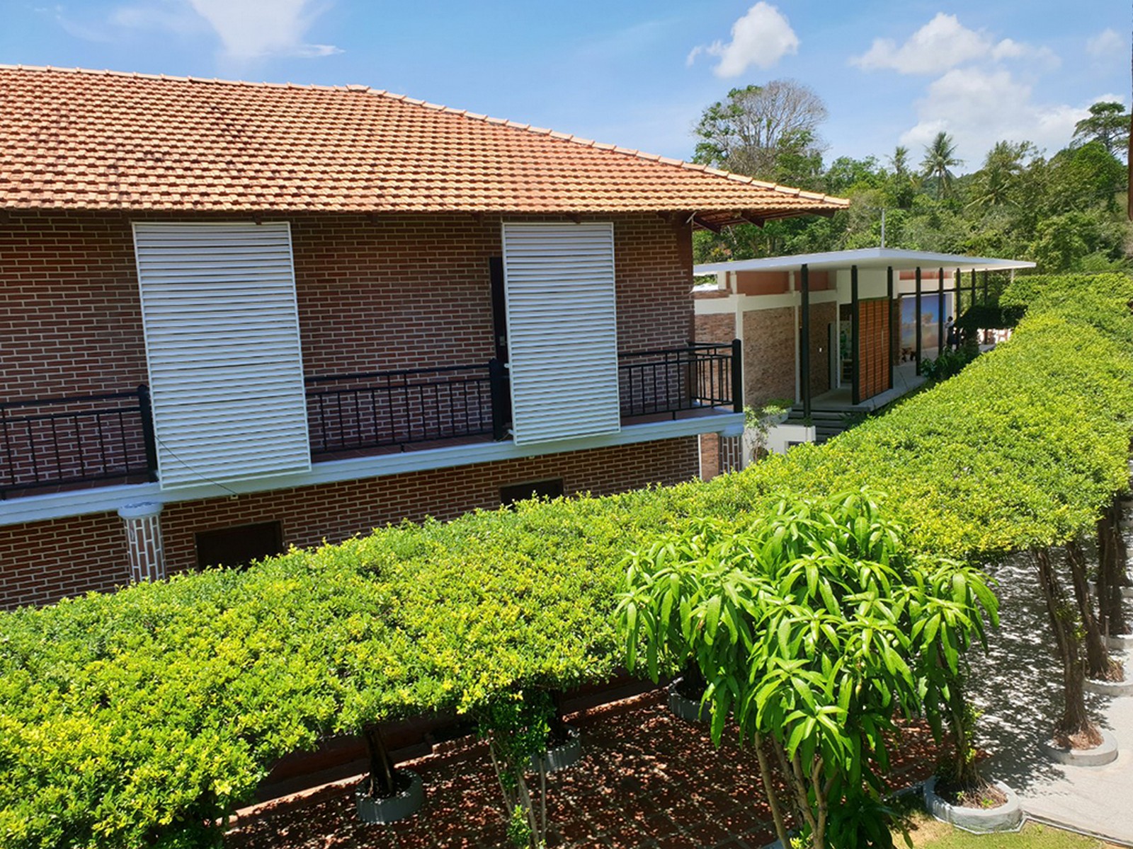 Triple Deluxe Pool View