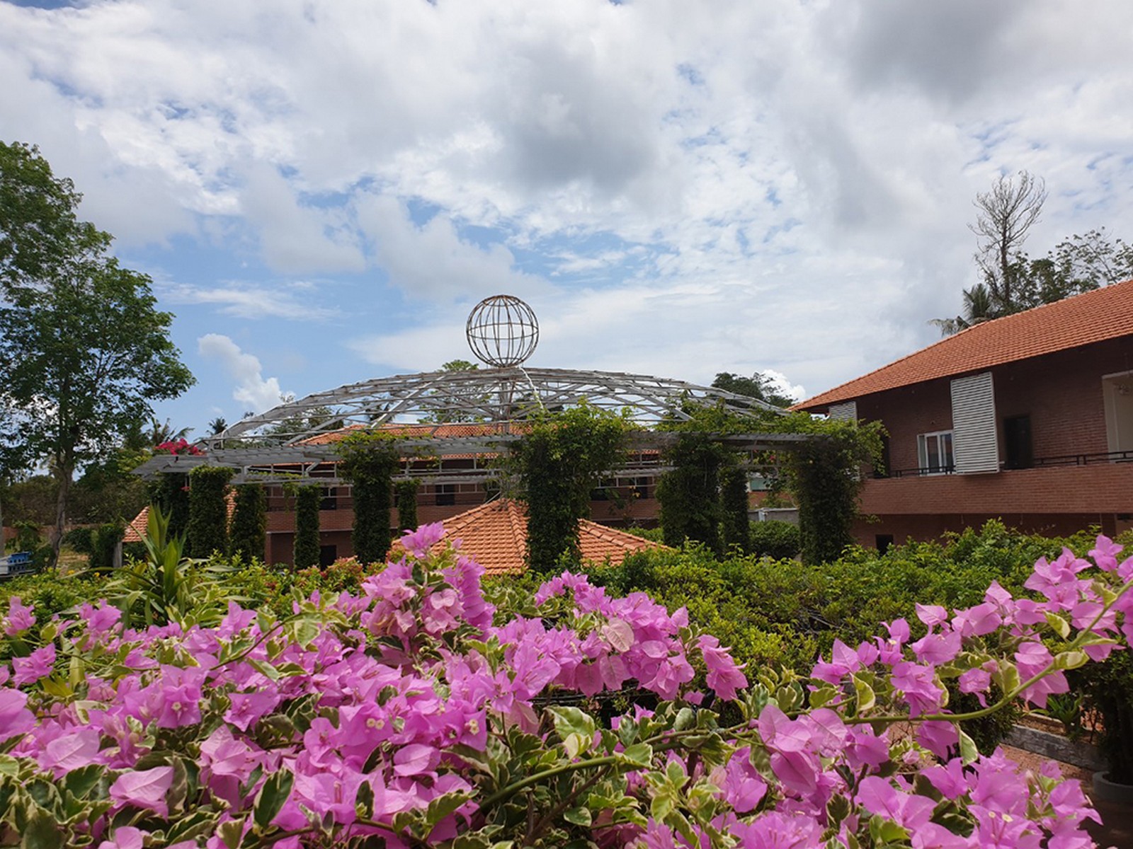 Triple Deluxe Pool View