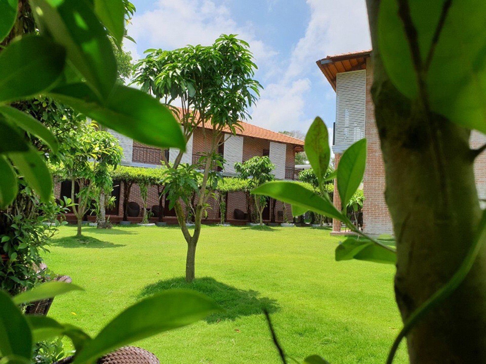 Triple Deluxe Pool View