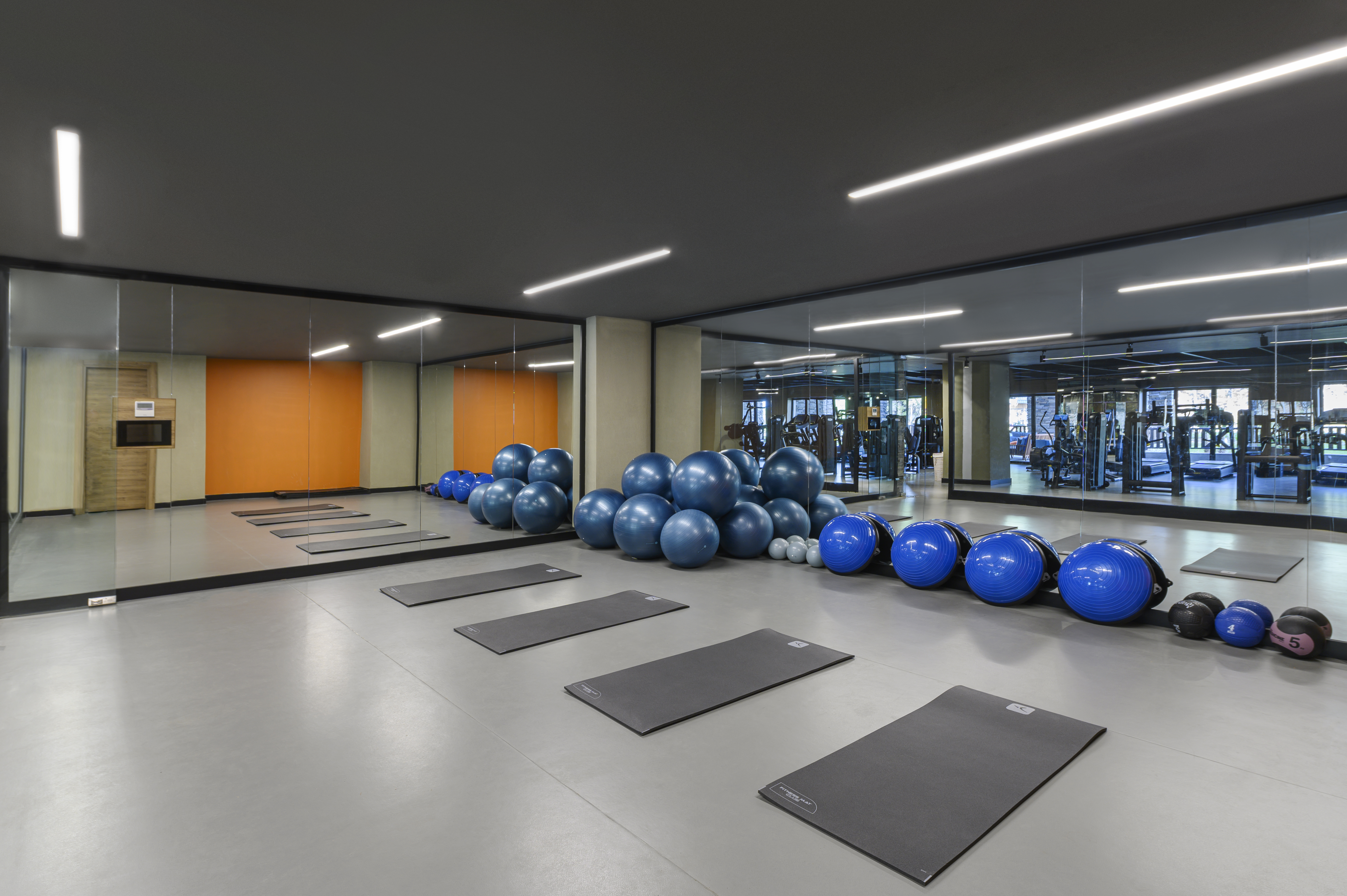 Sports and Entertainment