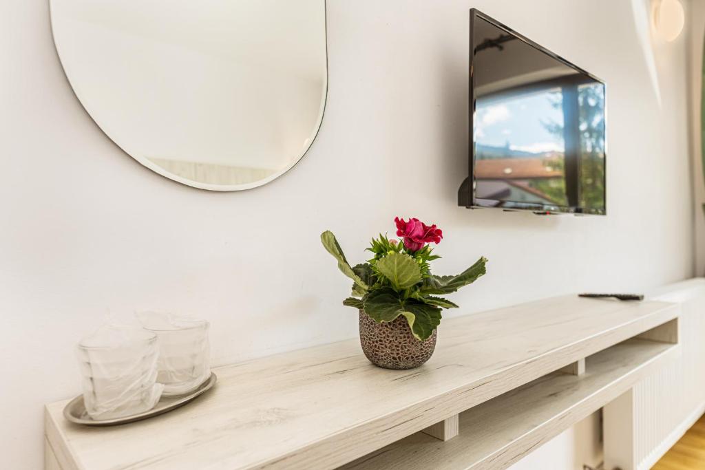 Double or Twin Standard