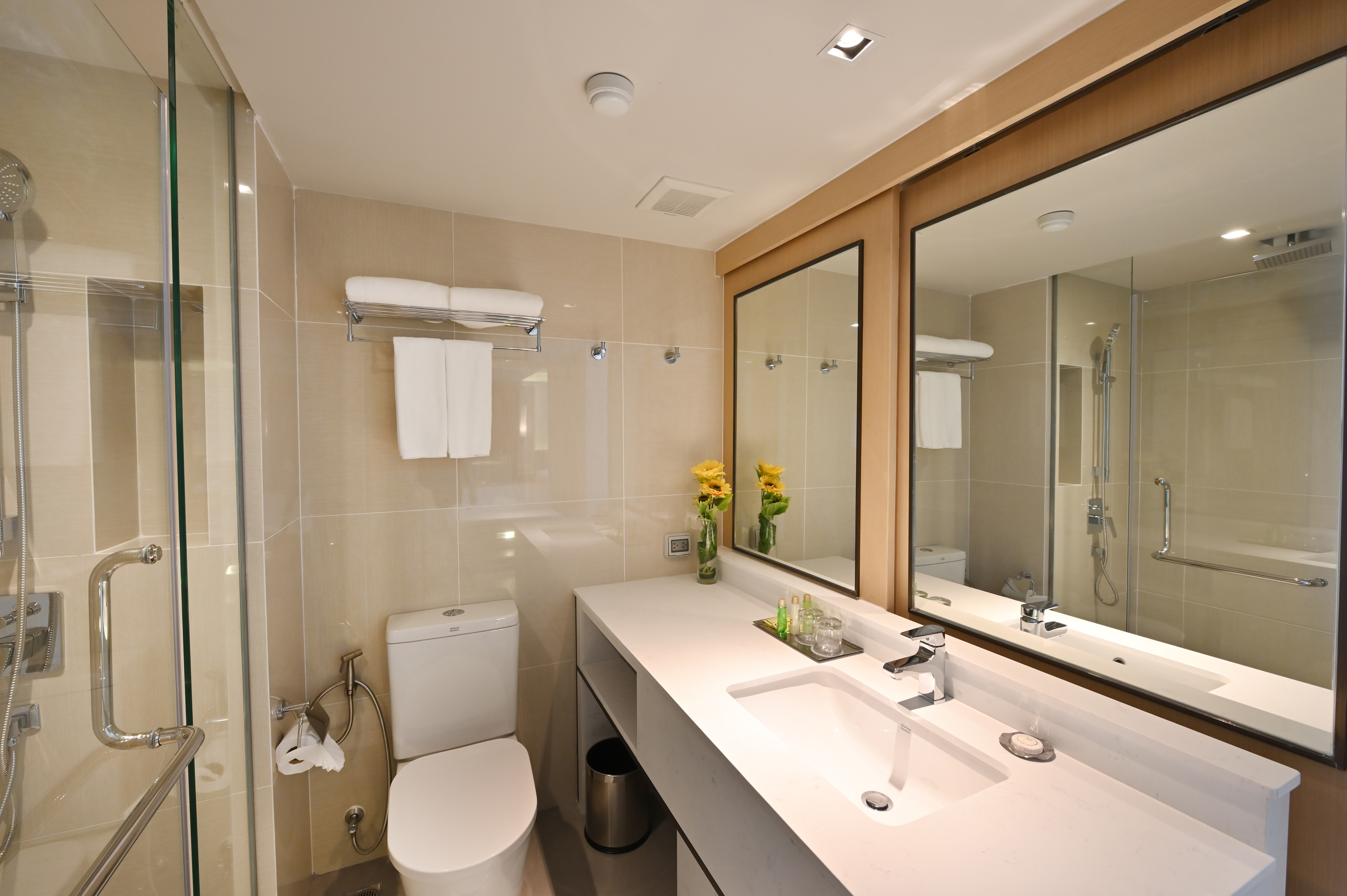 Double or Twin Superior