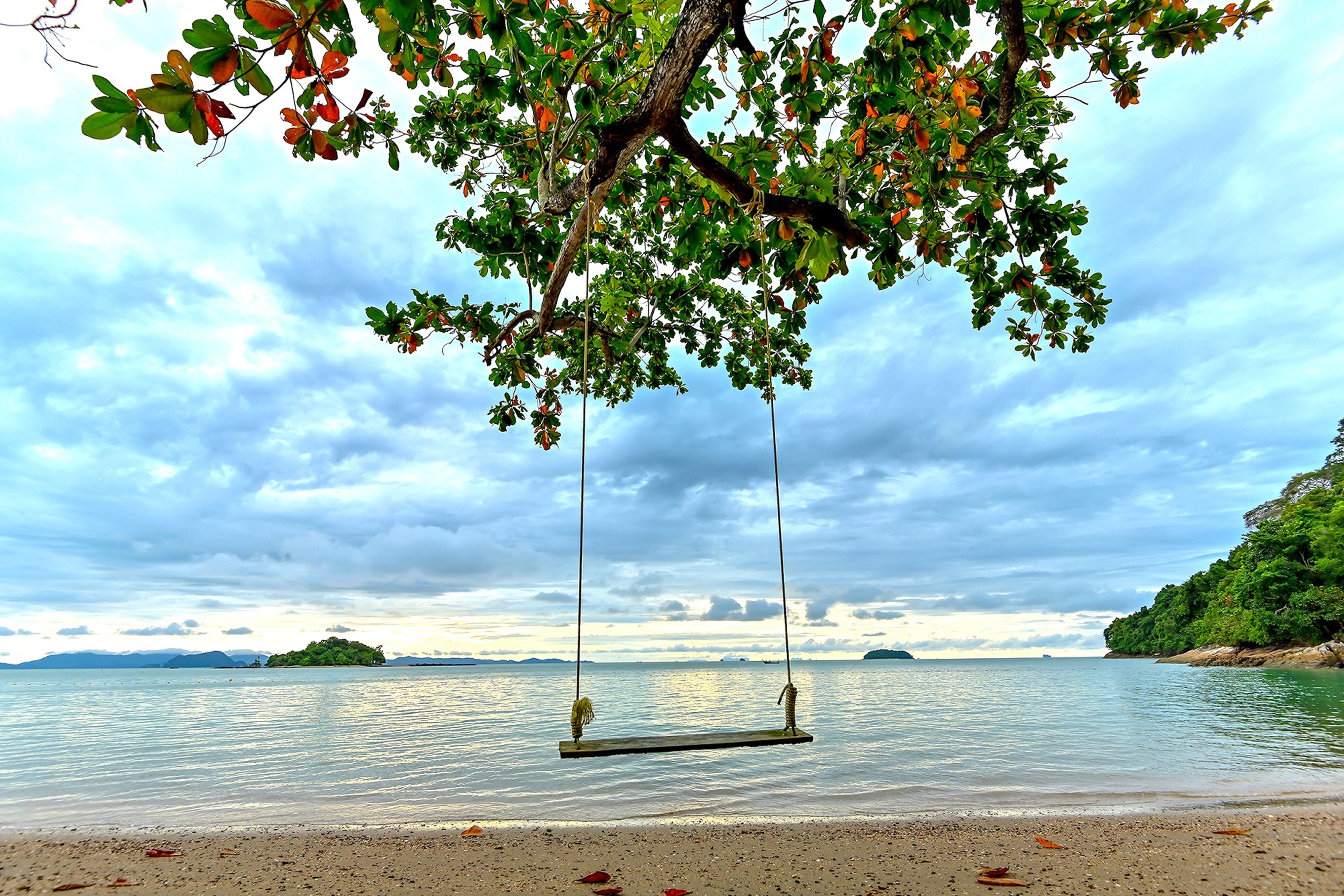 Beach