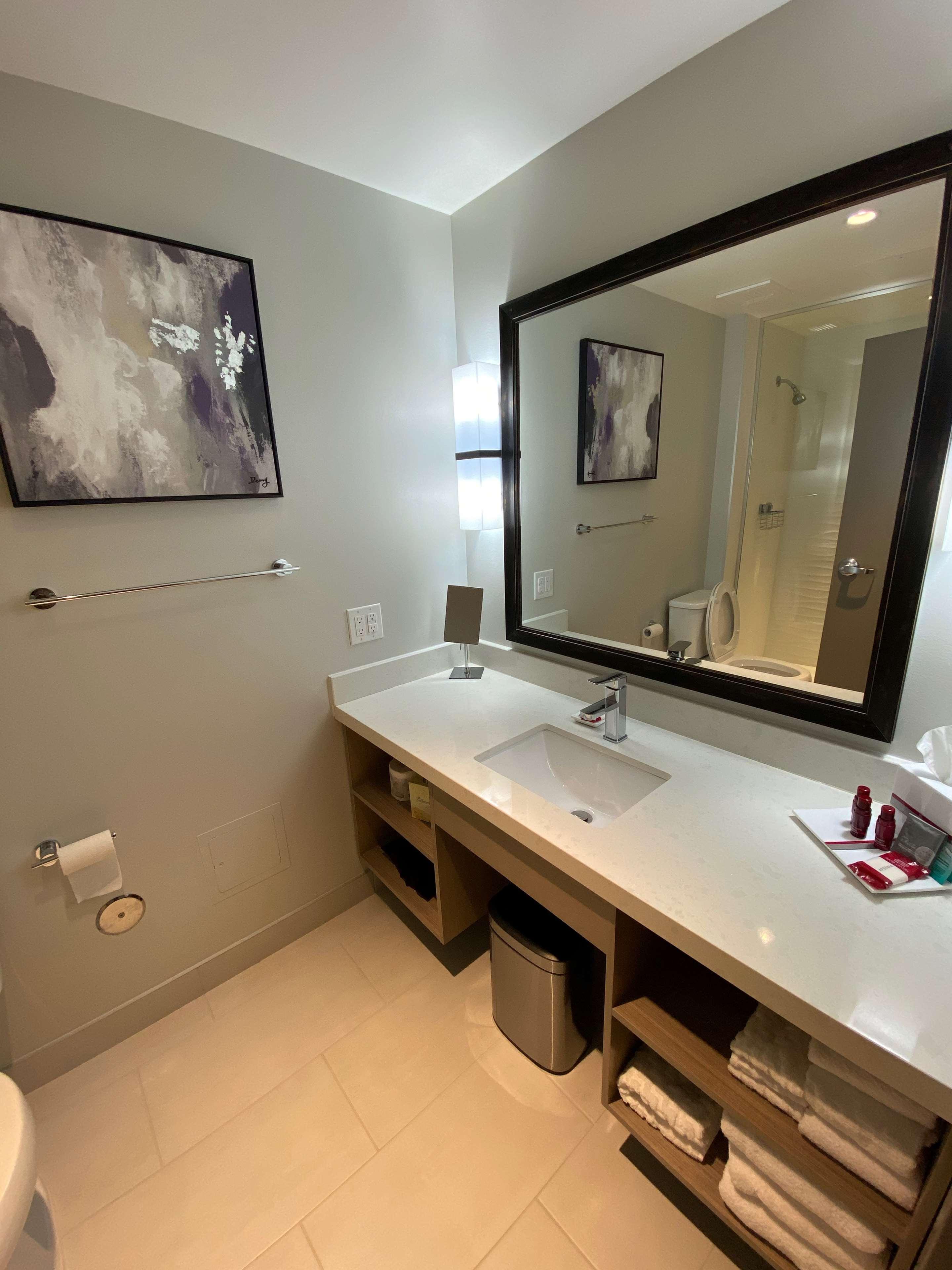 Suite King Bed Non Smoking