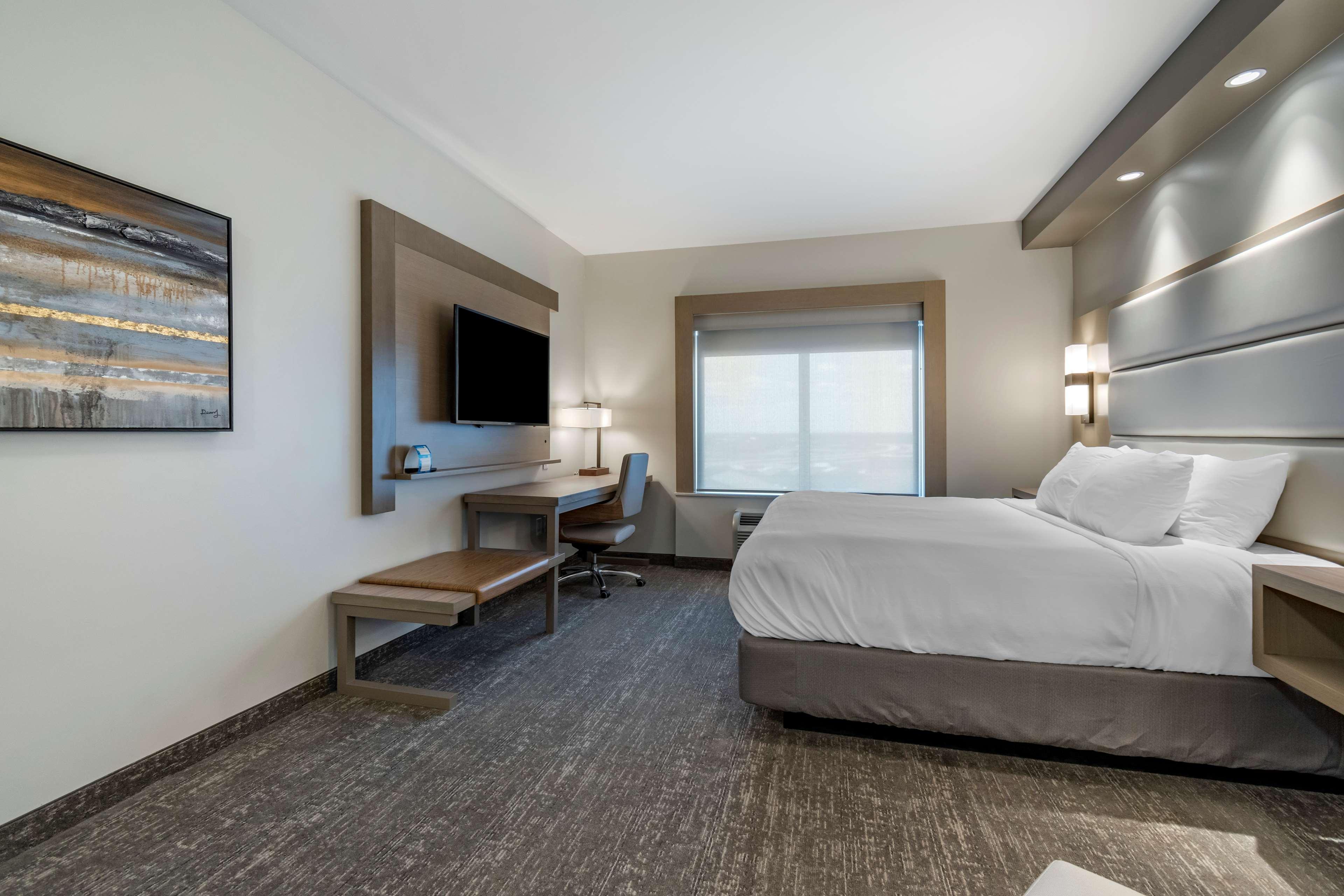 Suite King Bed Non Smoking