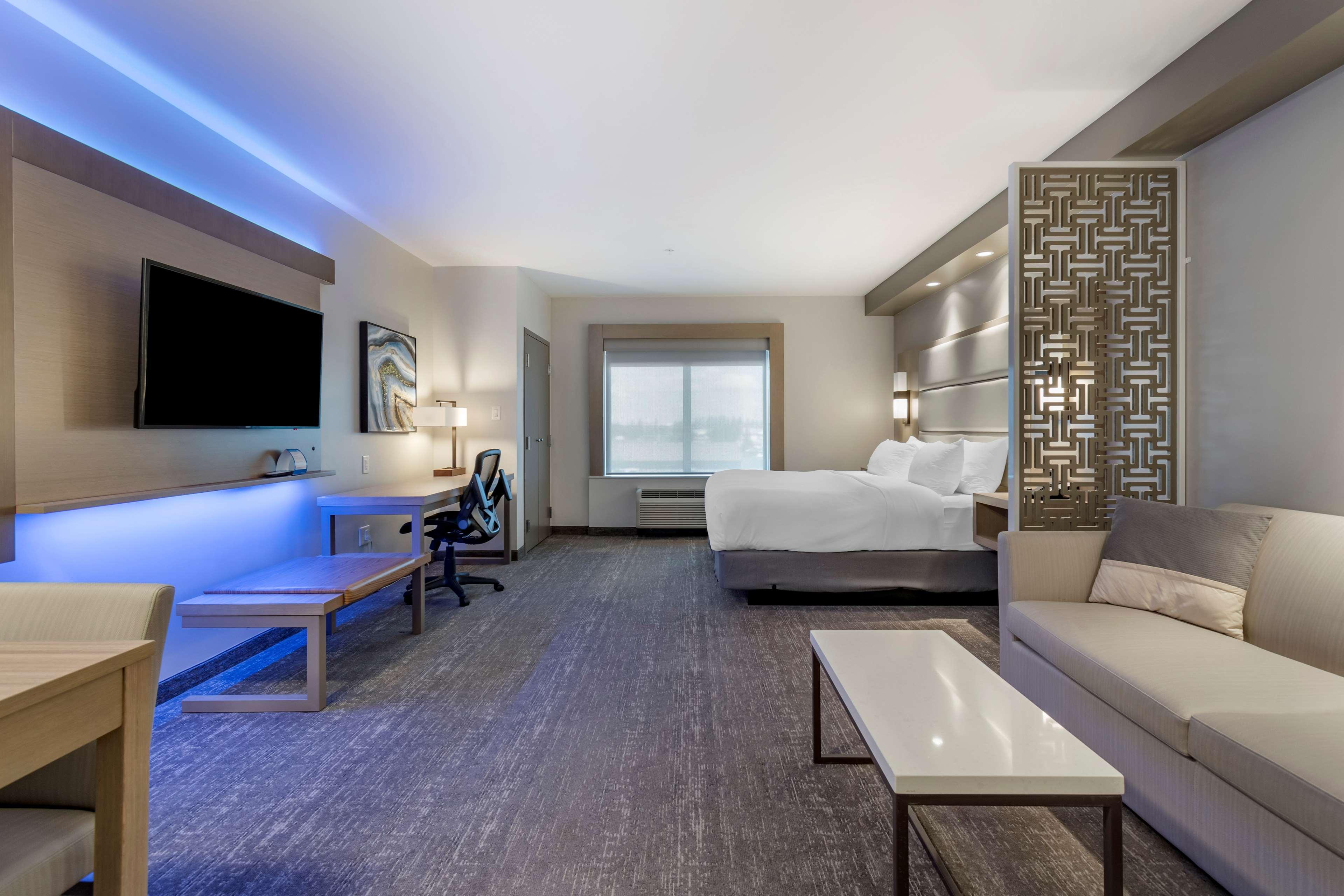 Suite King Bed Non Smoking