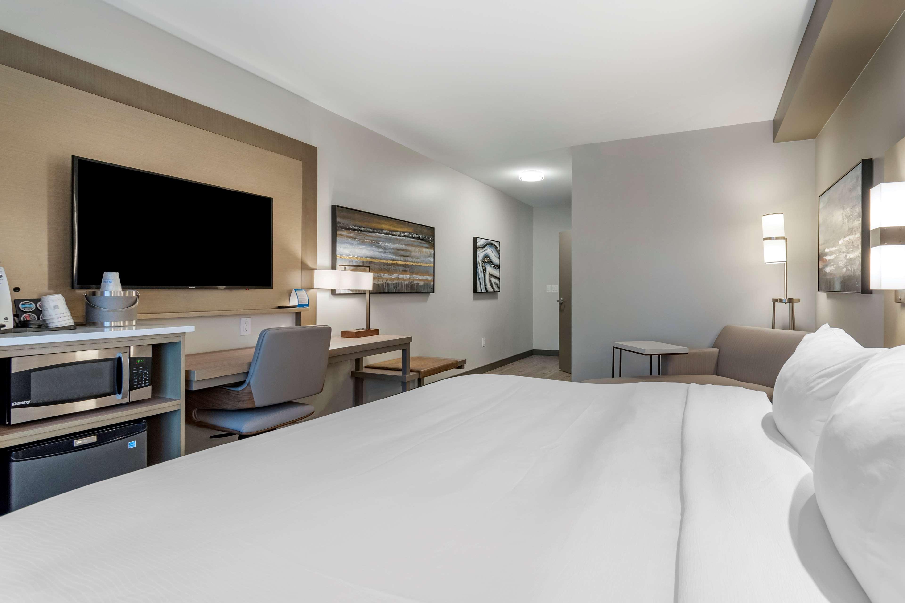 Suite King Bed Non Smoking