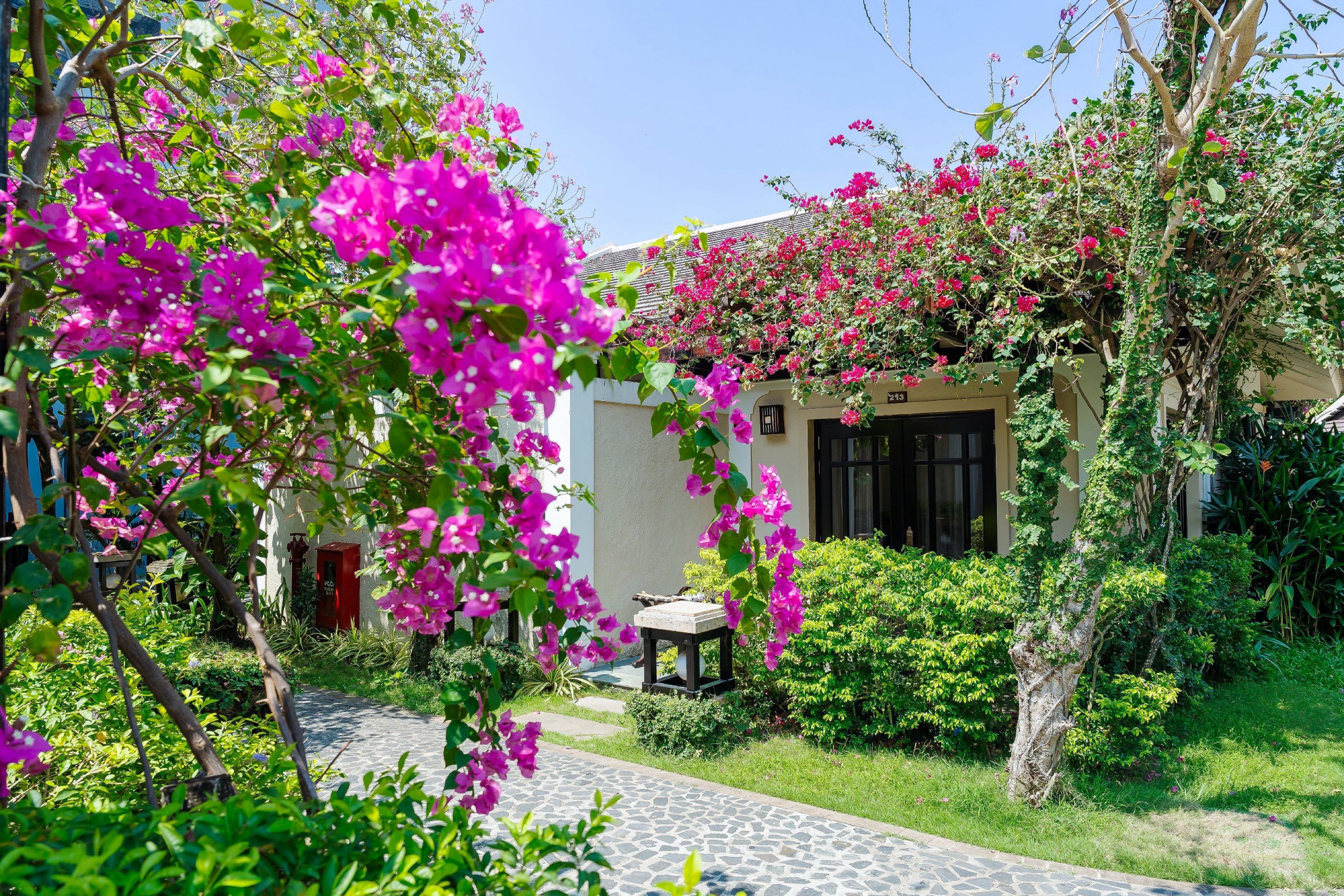 Bungalow Executive Garden View