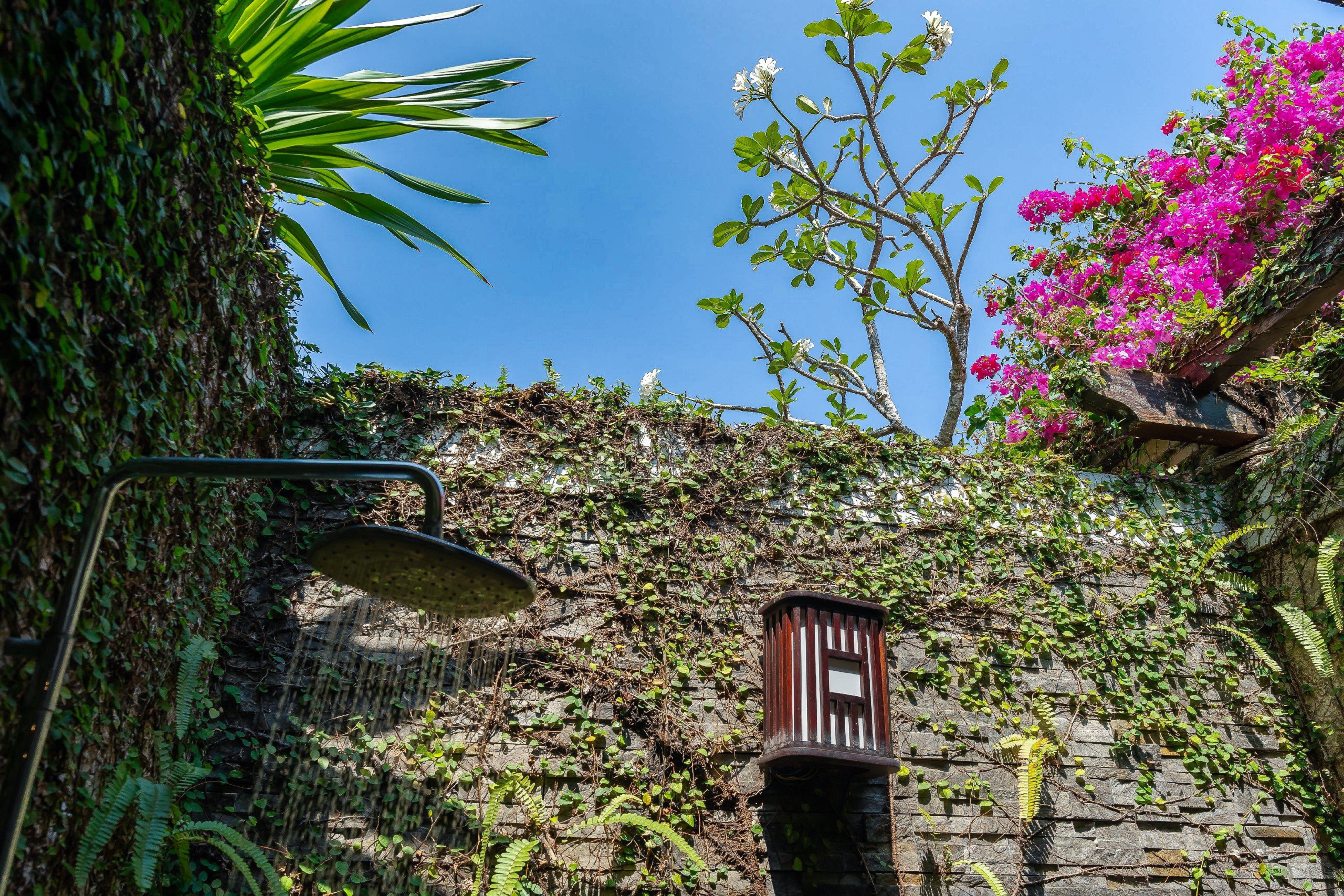 Bungalow Executive Garden View