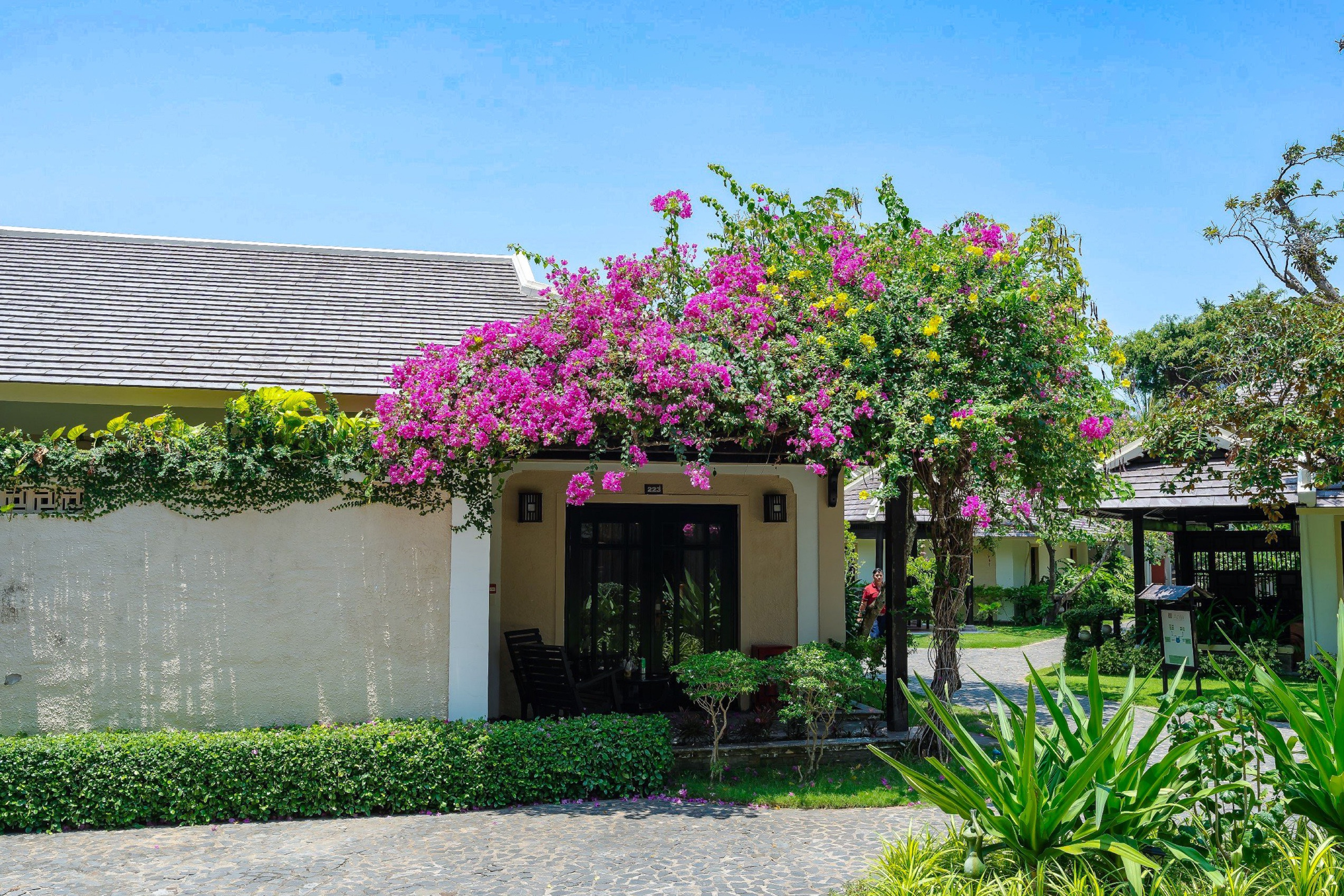 Bungalow Executive Garden View