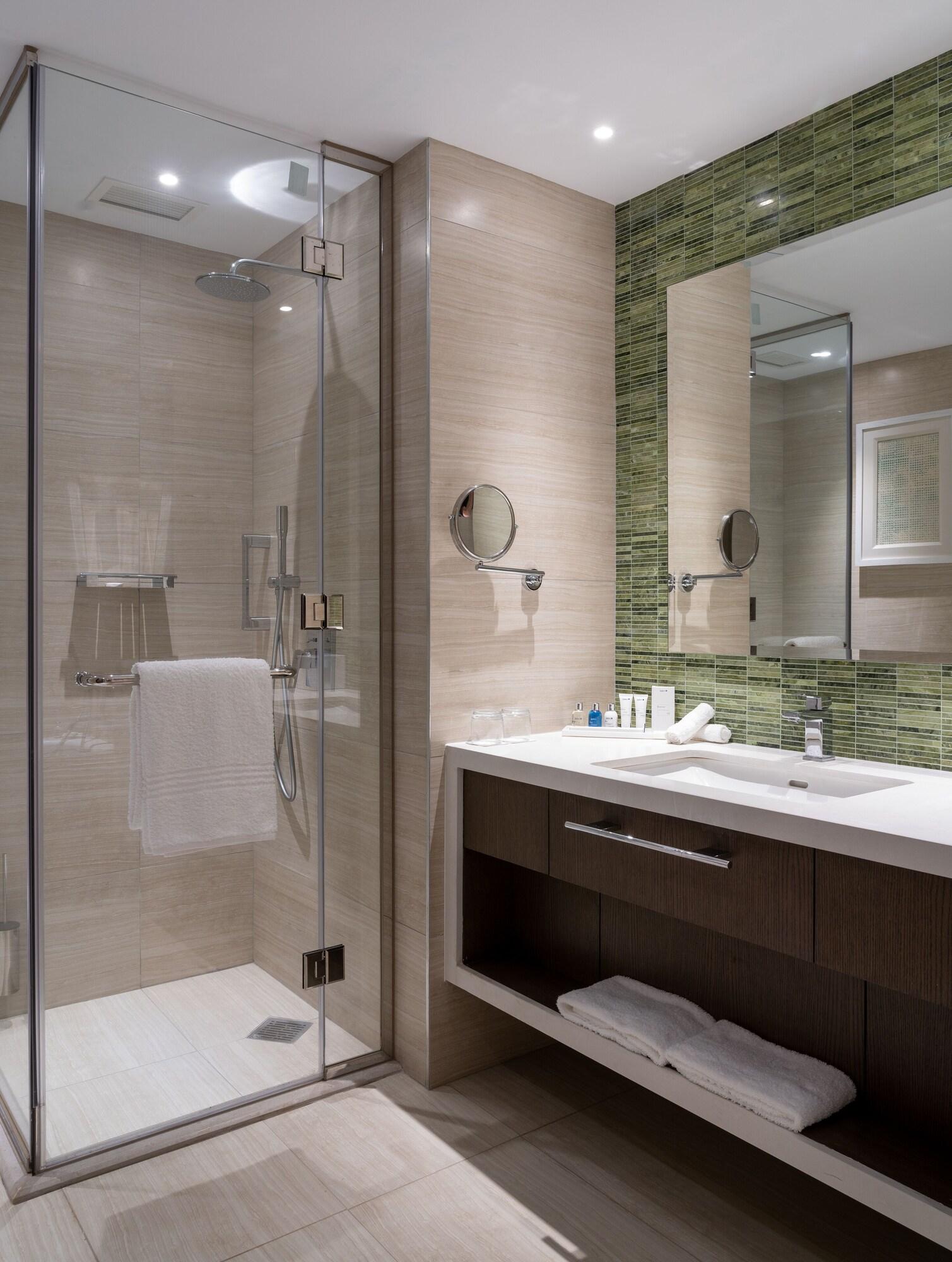 Suite King Bed One Bedroom 