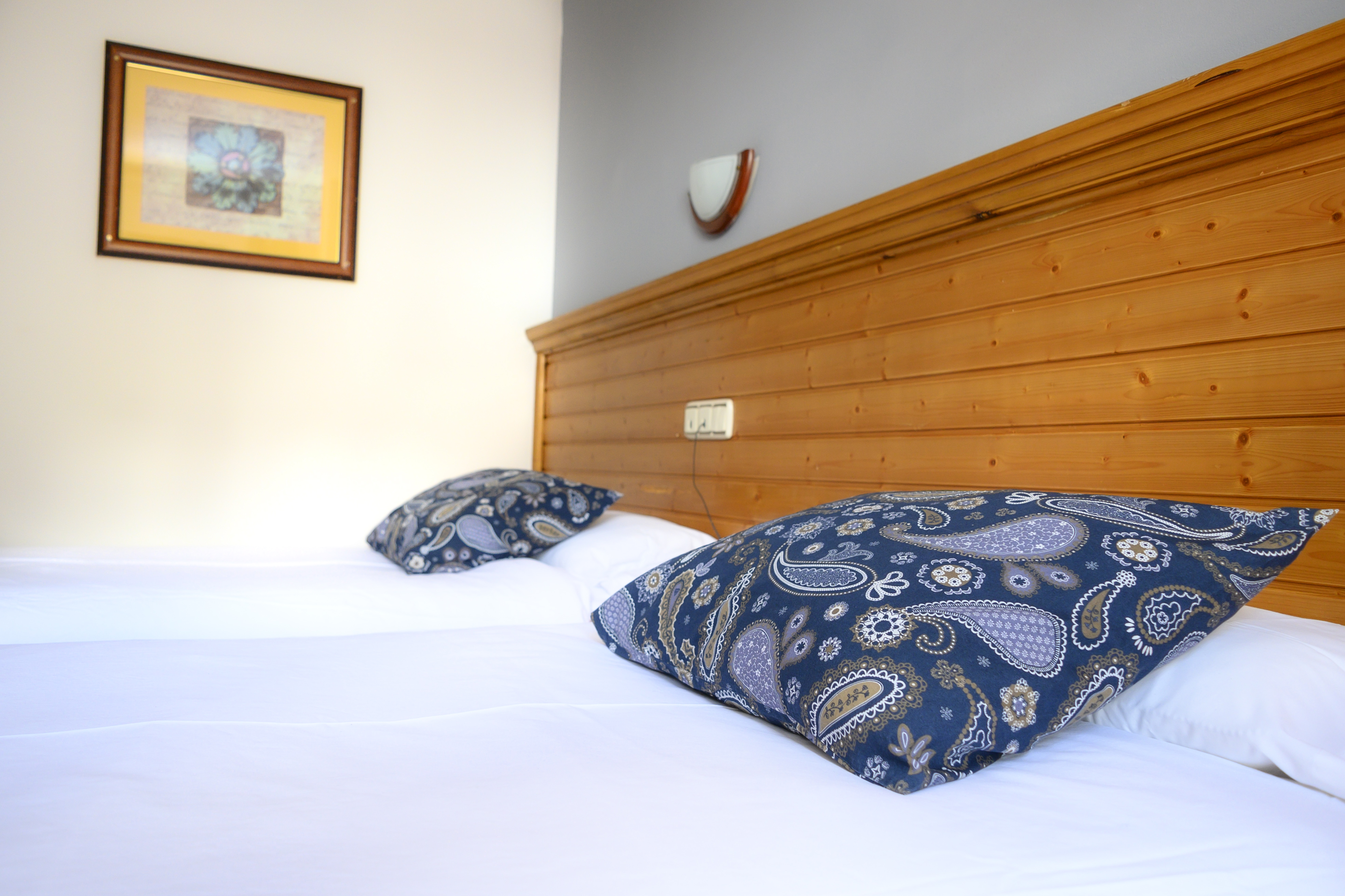 Double or Twin Standard