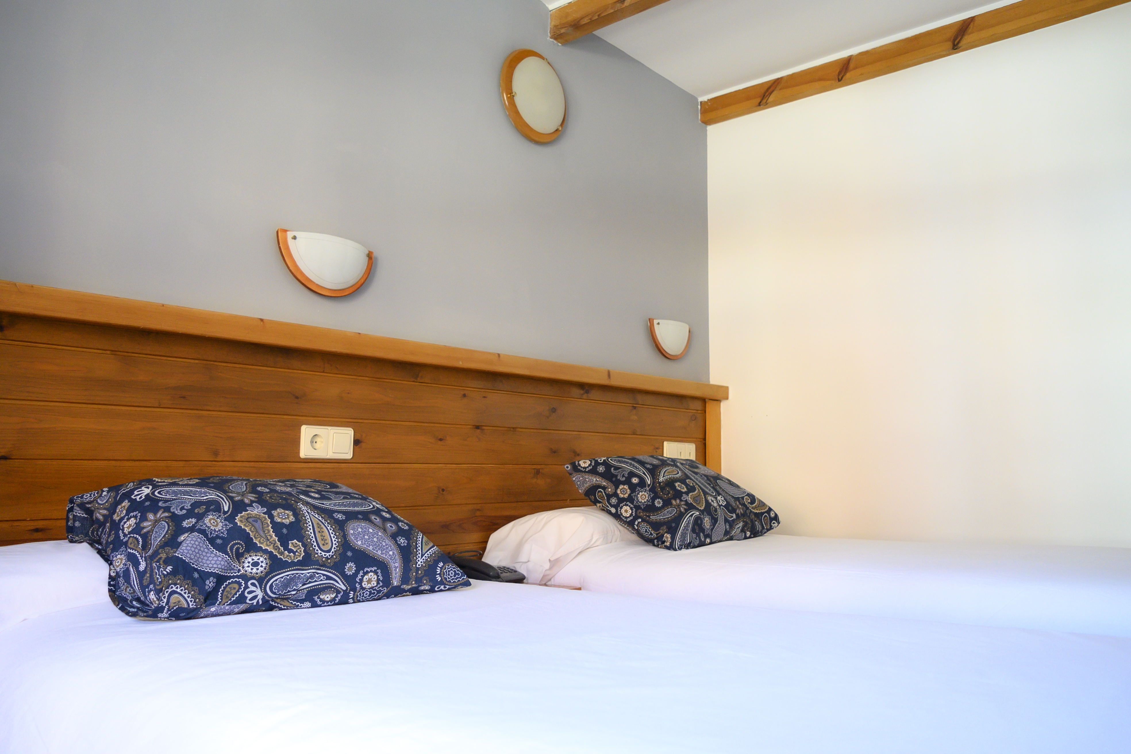 Double or Twin Standard