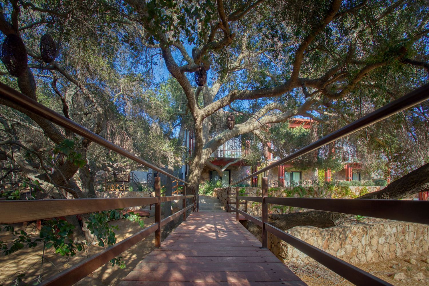 Junior Suite Queen Size Bed