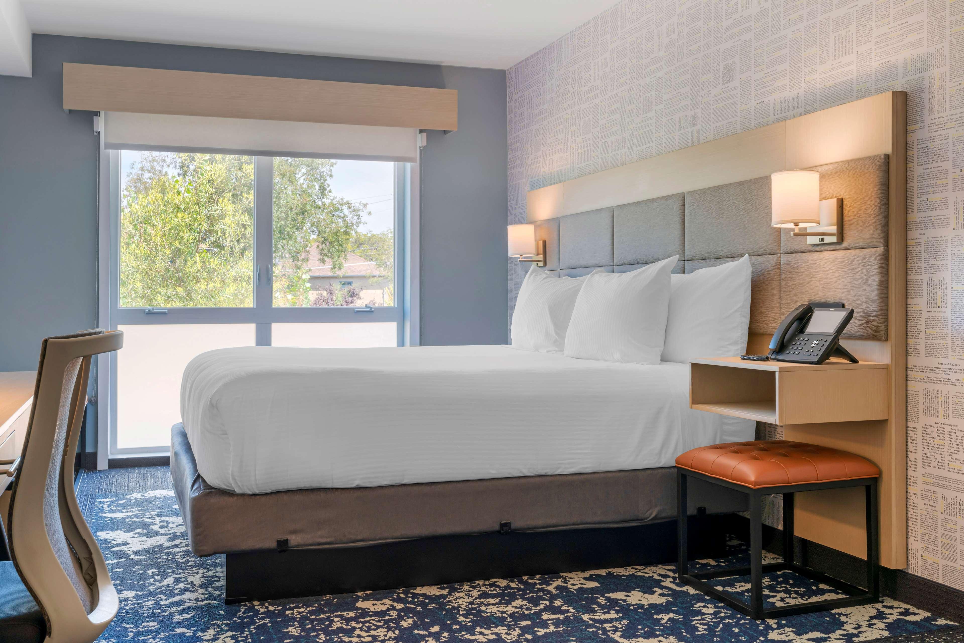 Room King Bed Non Smoking