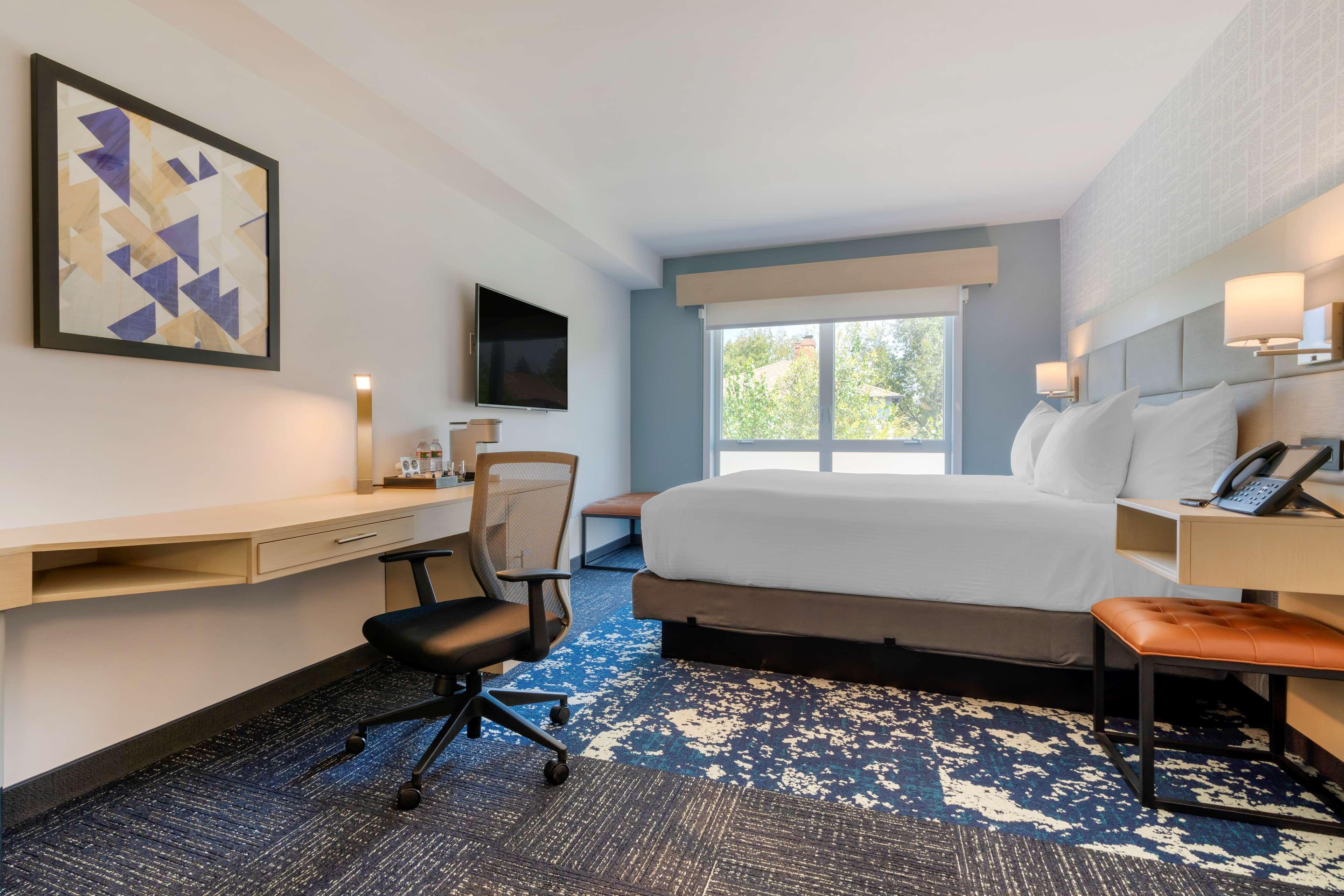 Room King Bed Non Smoking